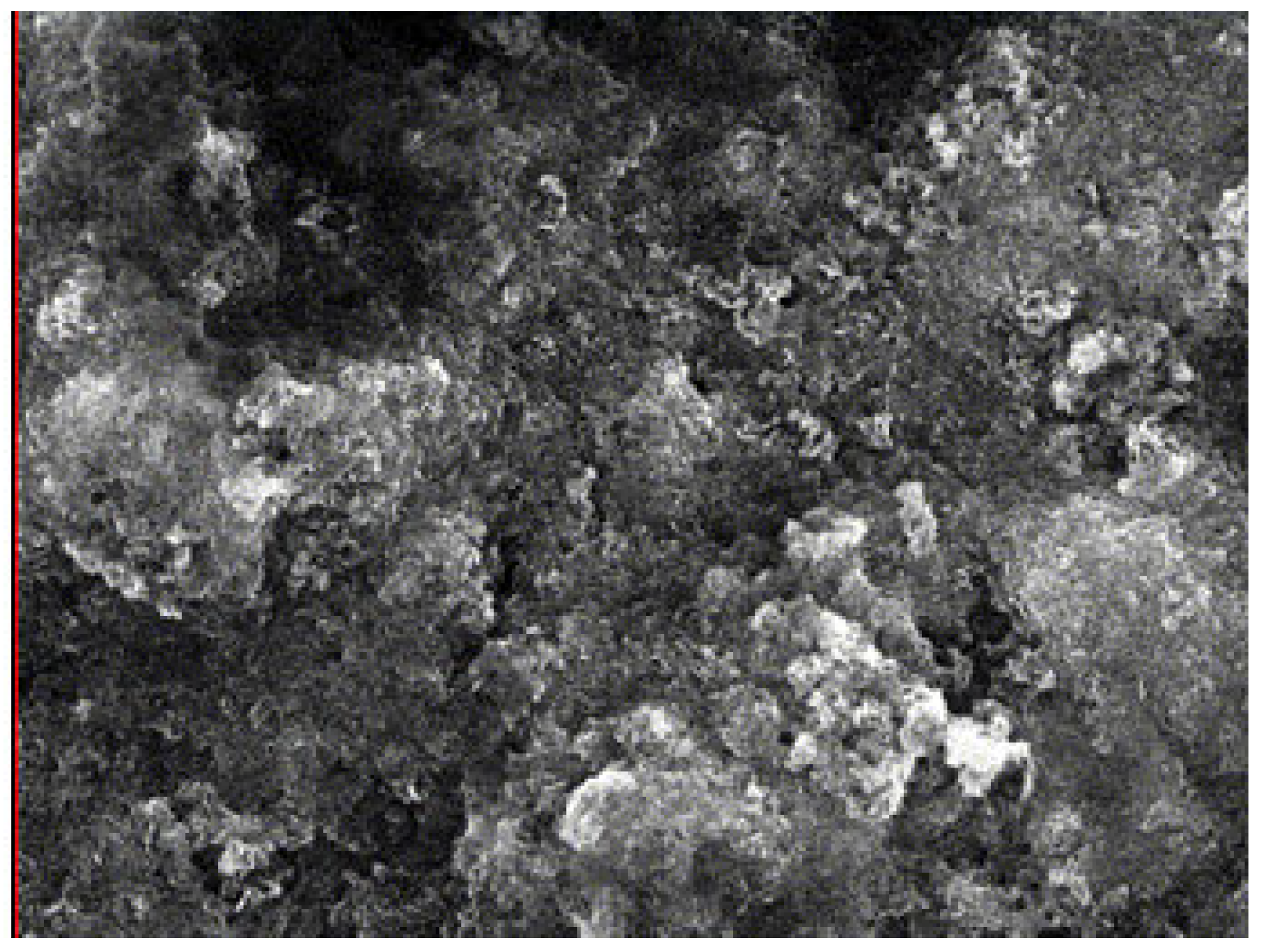 Water 17 03529 g010 Water 17 03529 g010