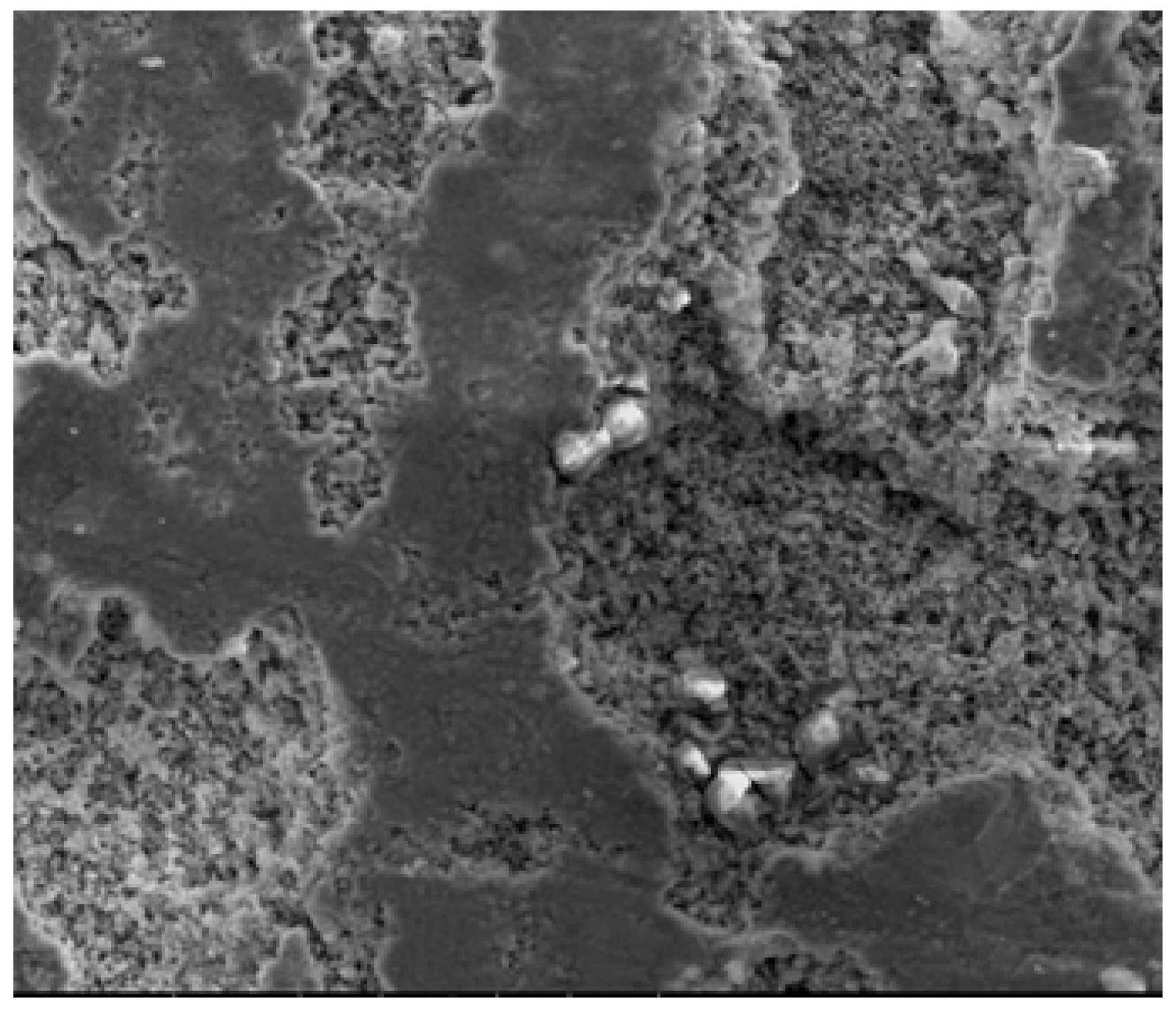 Water 17 03529 g011 Water 17 03529 g011