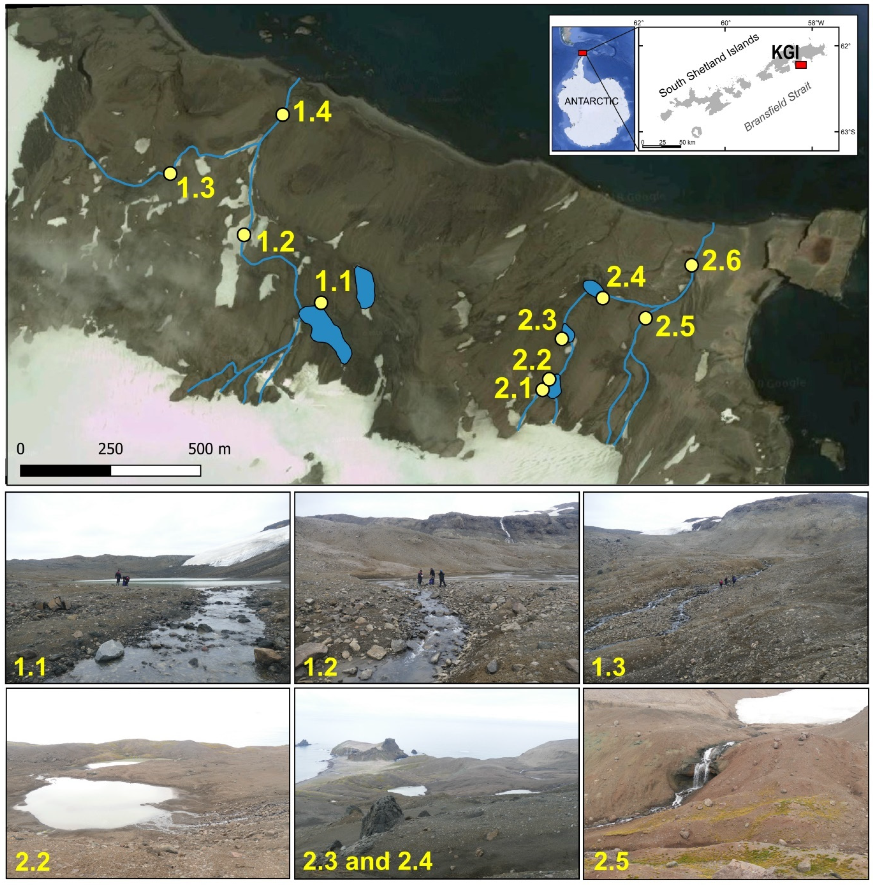 Water 17 03549 g001 Water 17 03549 g001