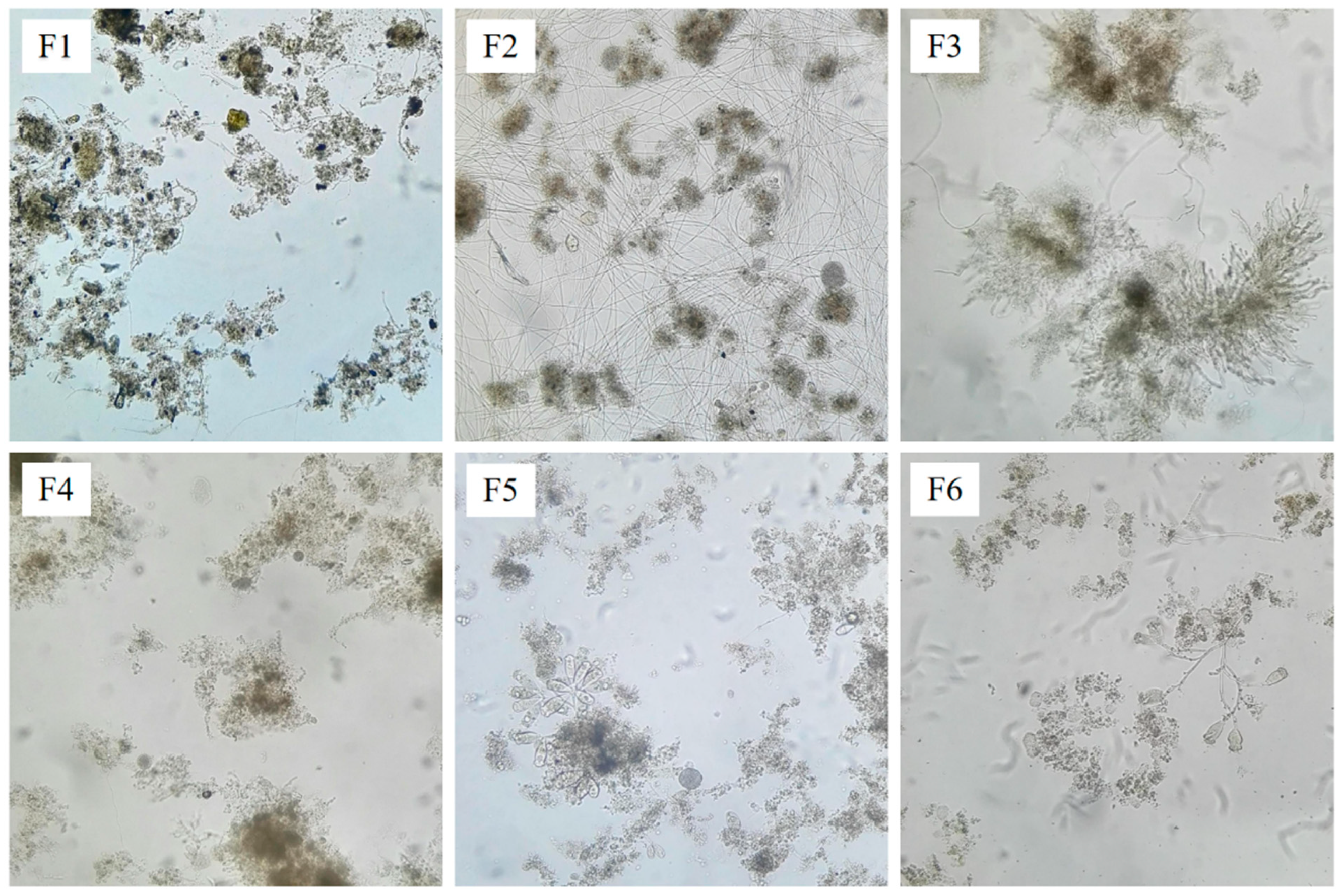 Water 17 03553 g003 Water 17 03553 g003