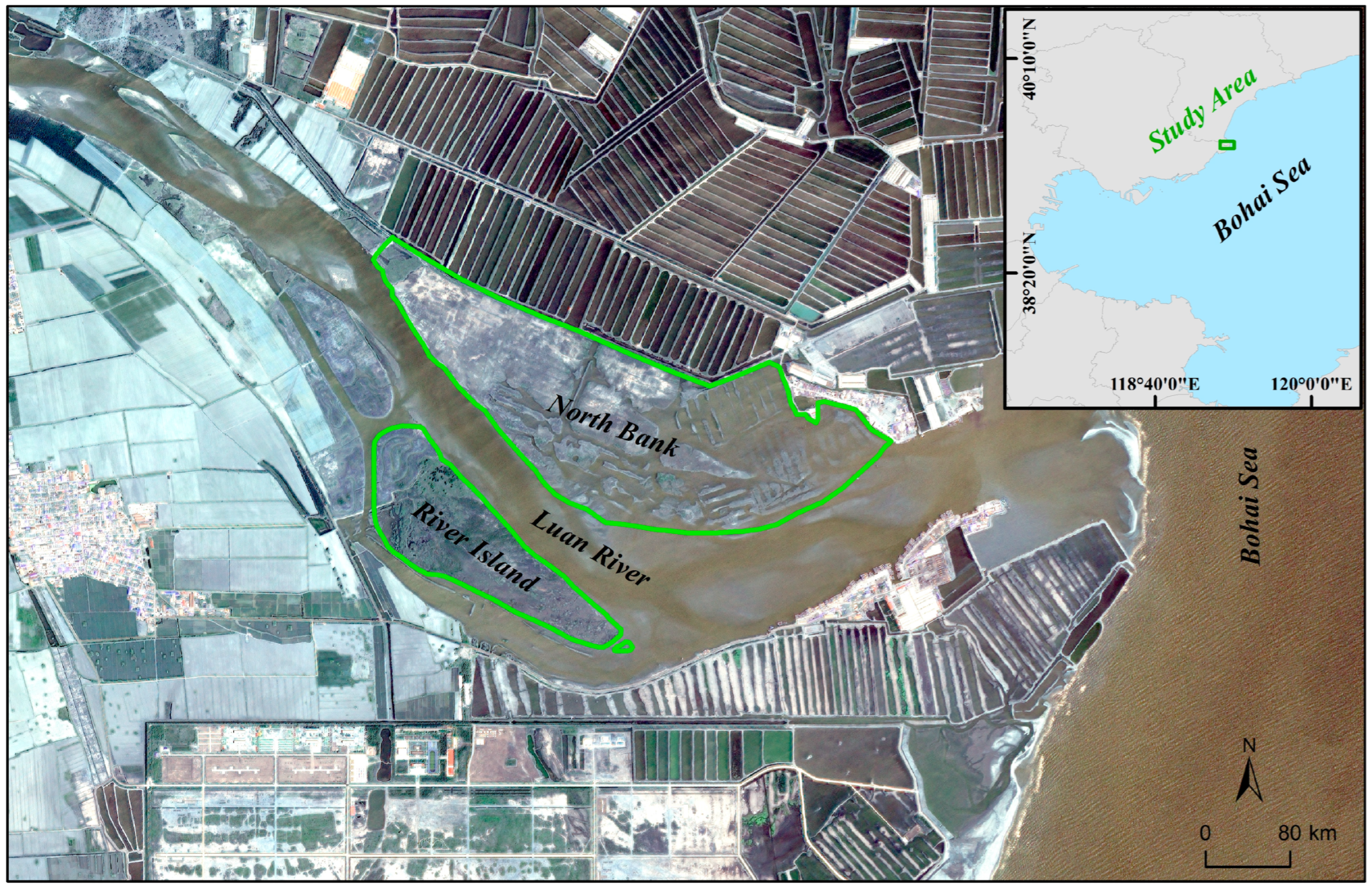 Water 17 03559 g001 Water 17 03559 g001