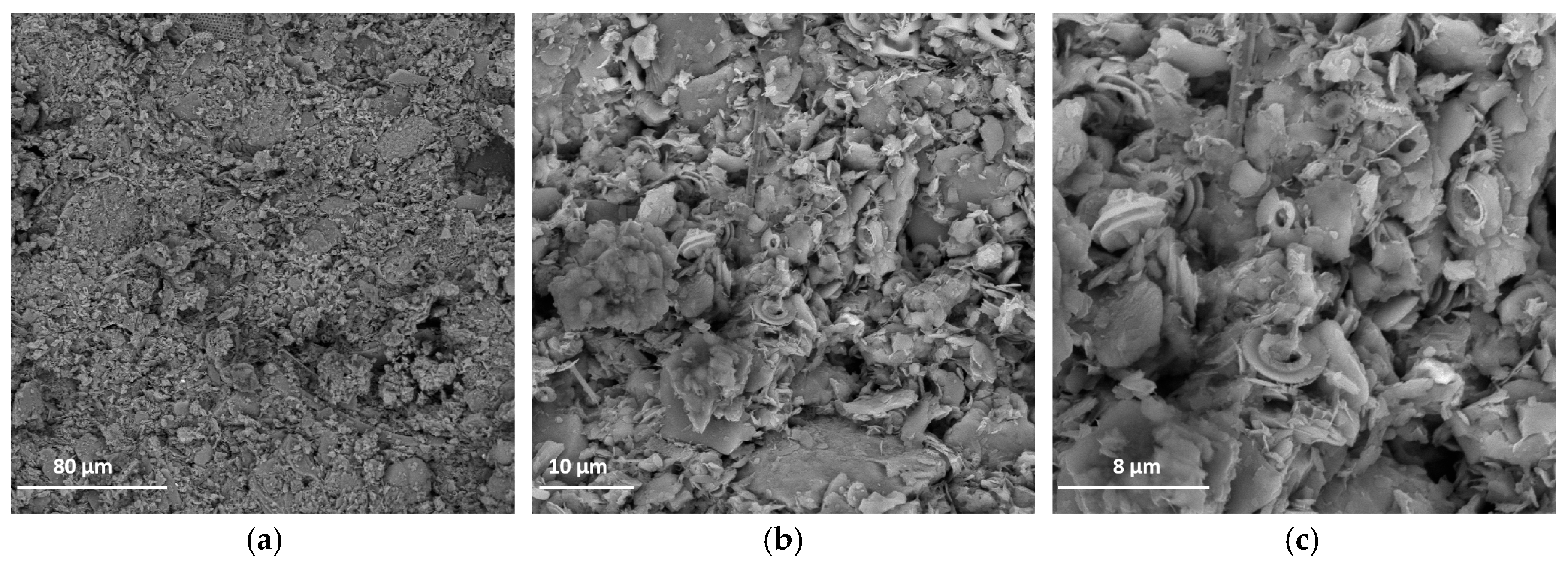 Water 17 03581 g004 Water 17 03581 g004