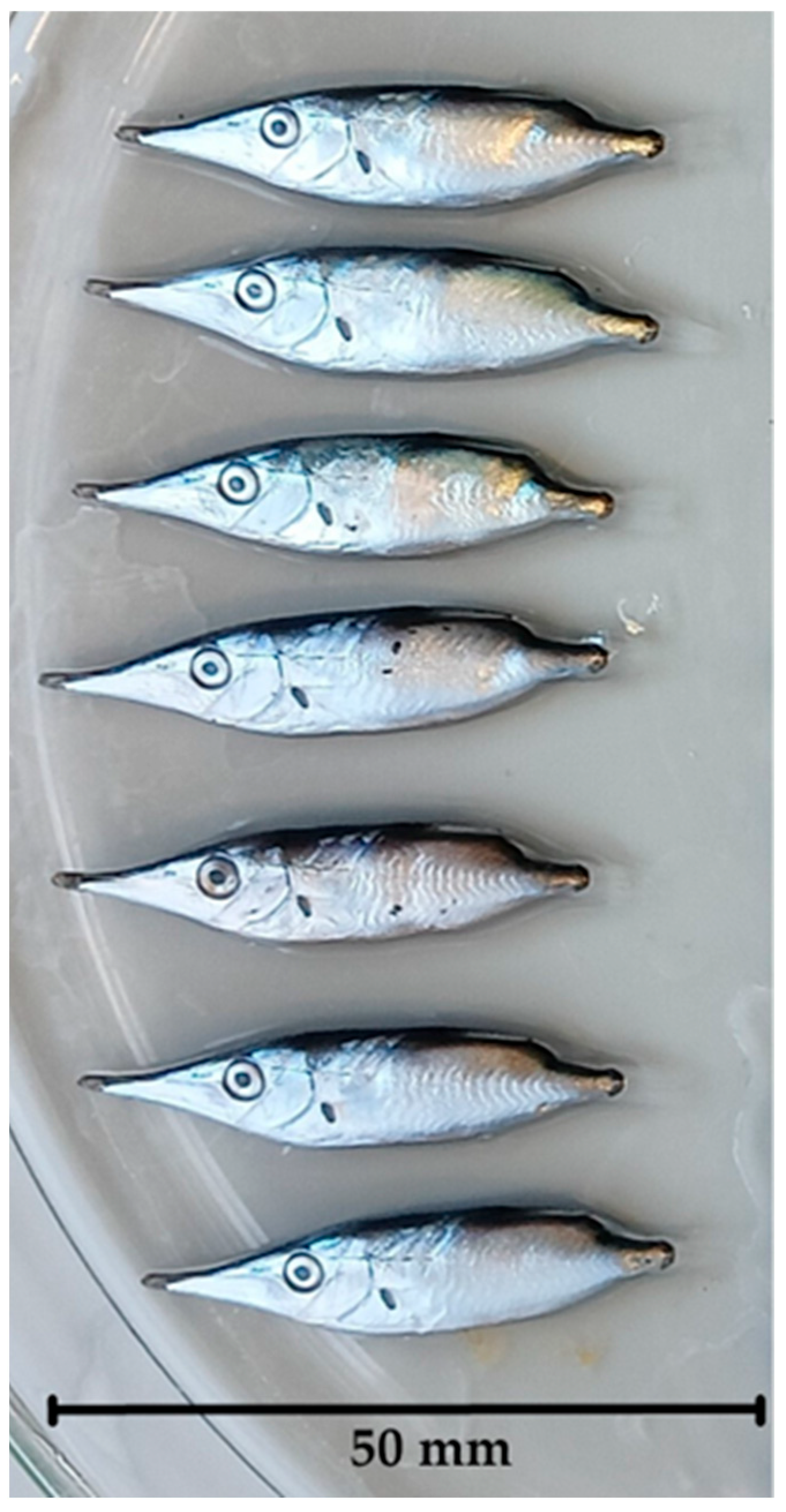 Water 18 00156 g001 Water 18 00156 g001