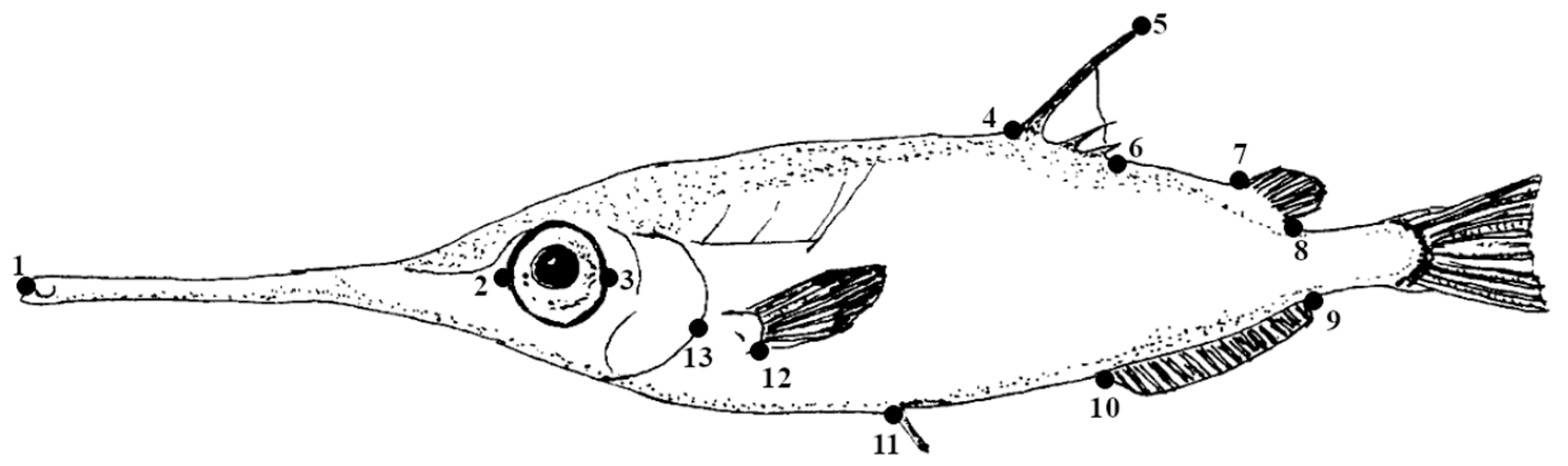 Water 18 00156 g005 Water 18 00156 g005