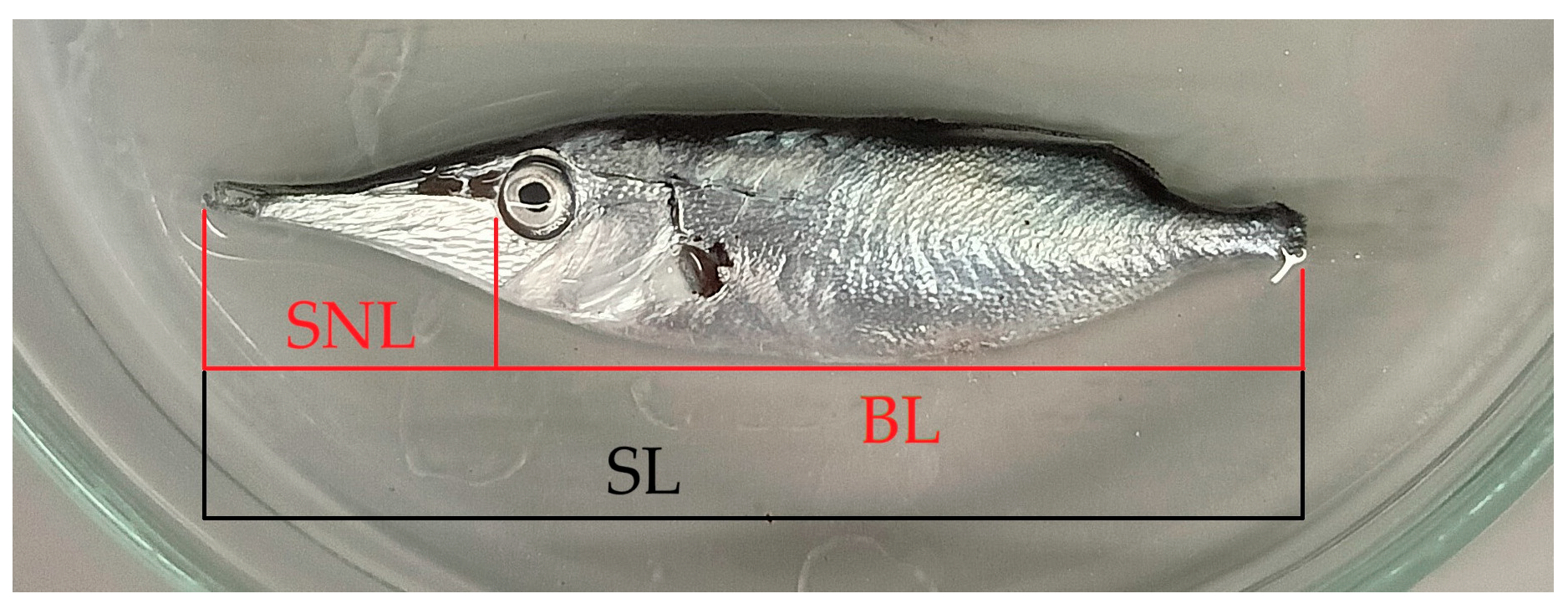 Water 18 00156 g006 Water 18 00156 g006