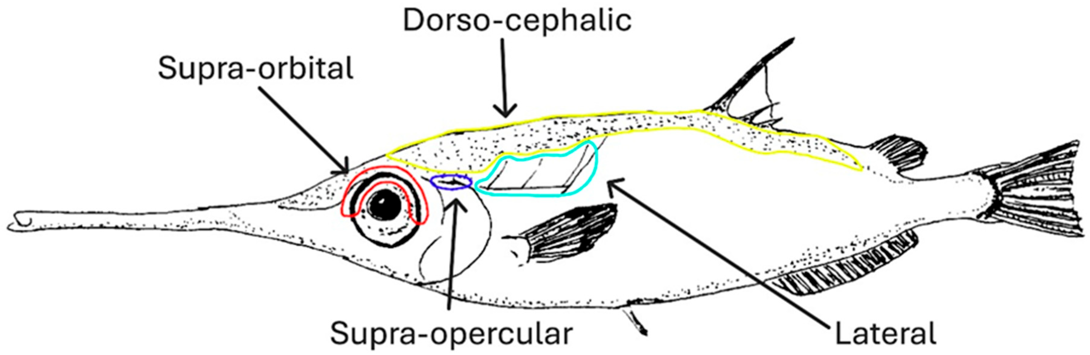 Water 18 00156 g007 Water 18 00156 g007