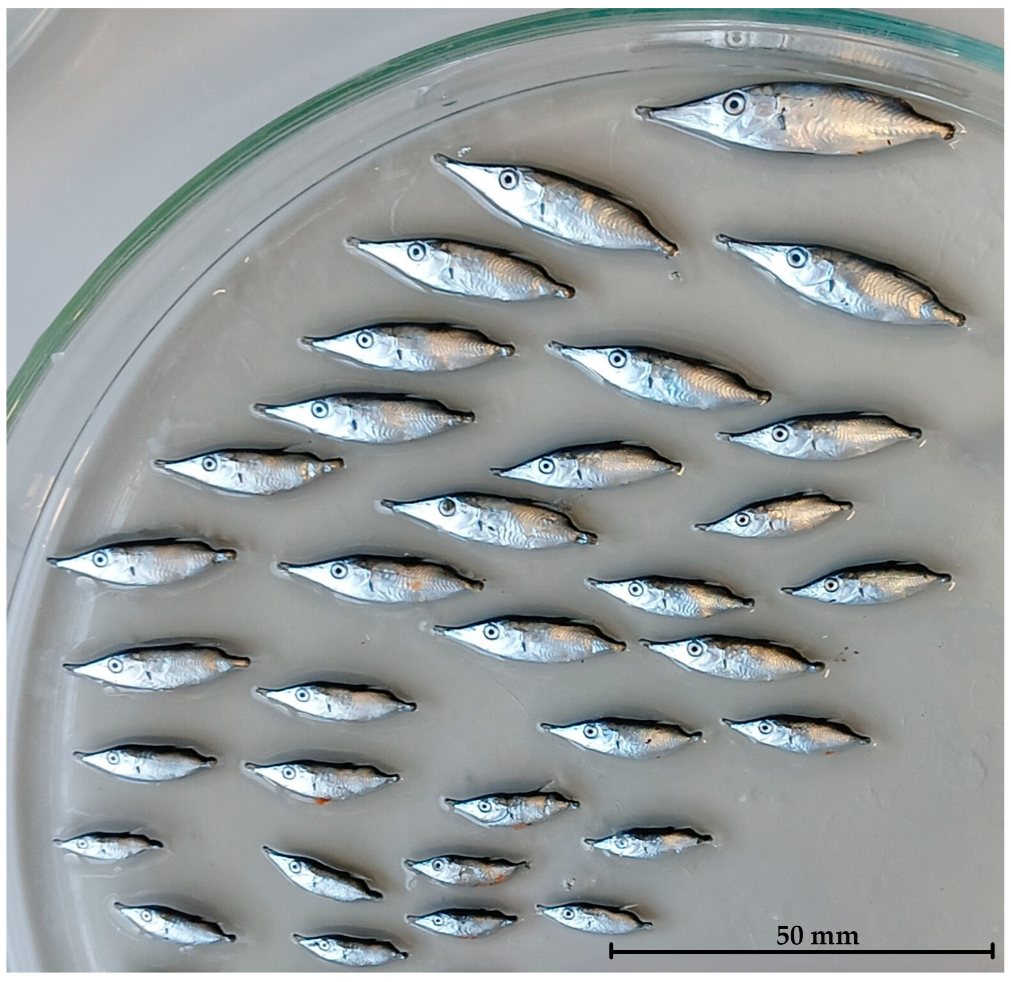 Water 18 00156 g008 Water 18 00156 g008