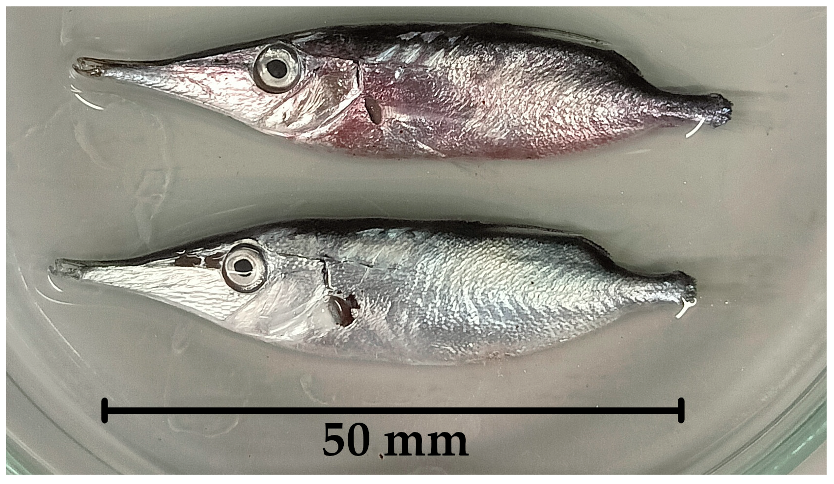 Water 18 00156 g009 Water 18 00156 g009