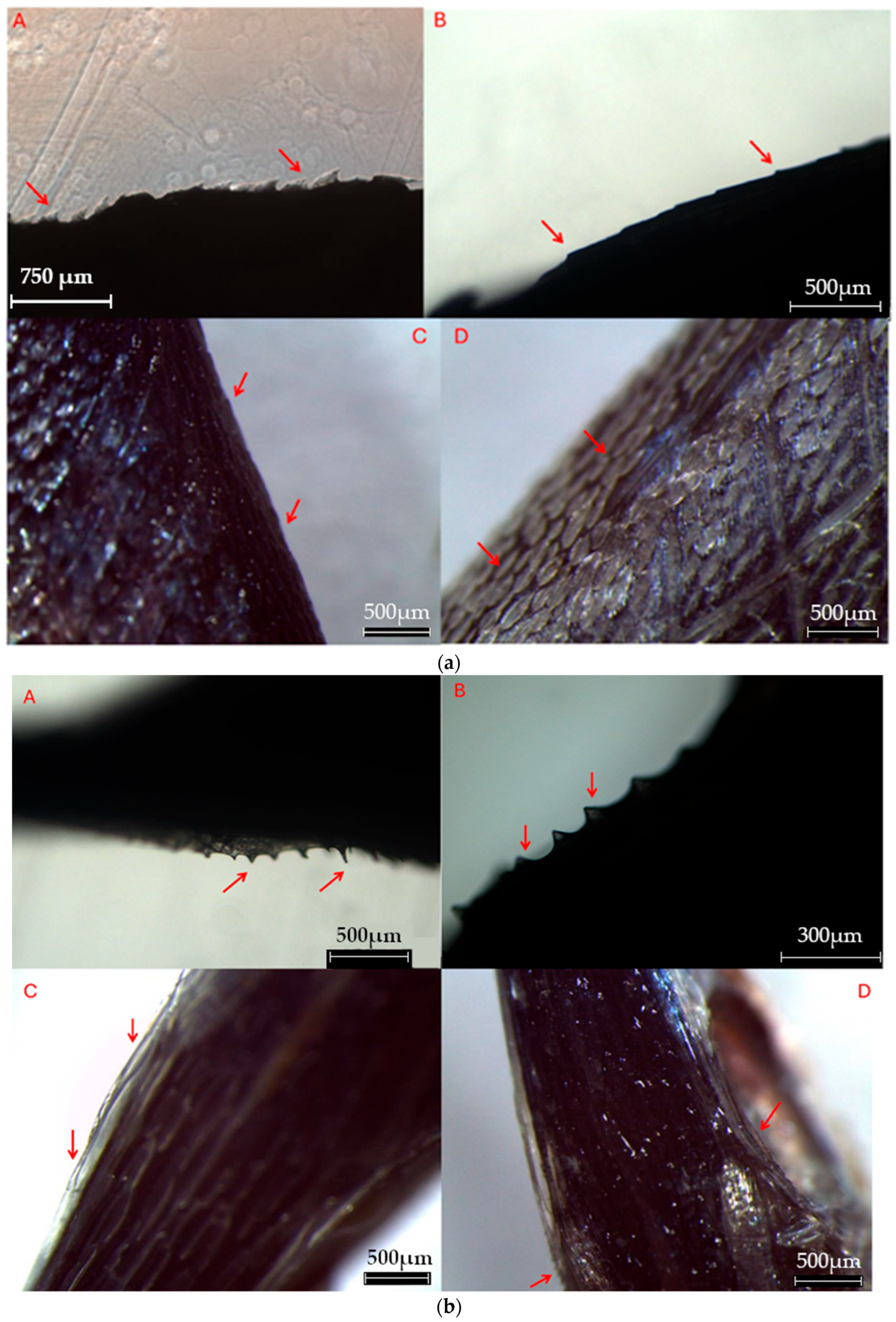 Water 18 00156 g010a Water 18 00156 g010a