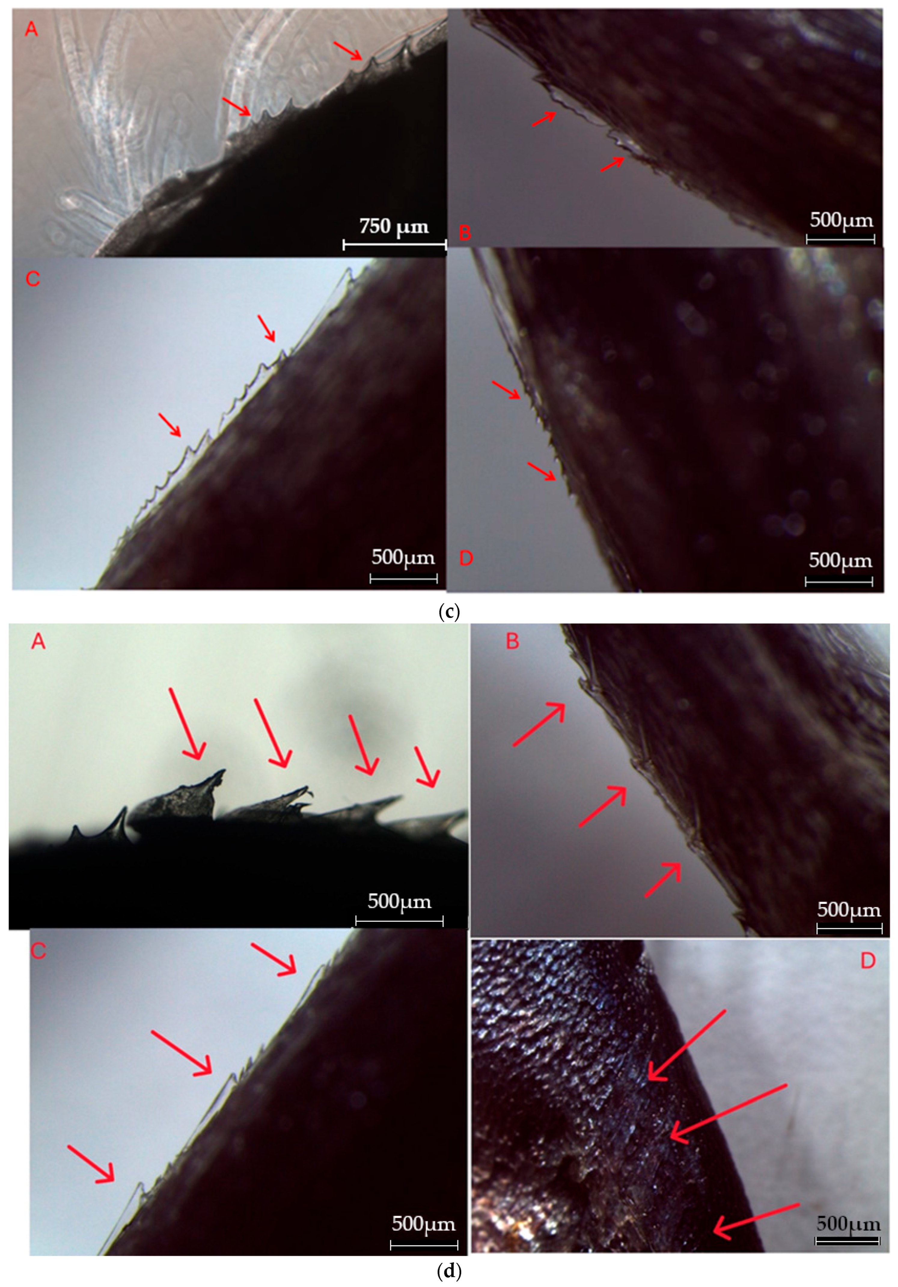 Water 18 00156 g010b Water 18 00156 g010b