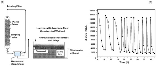 Developments in Winery Wastewater Treatment and Management