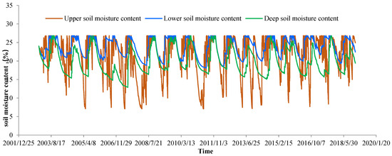 Construction and Application of Distributed Non-Point Source