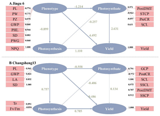 Integrated Drought Resilience in Foxtail Millet: From Molecular