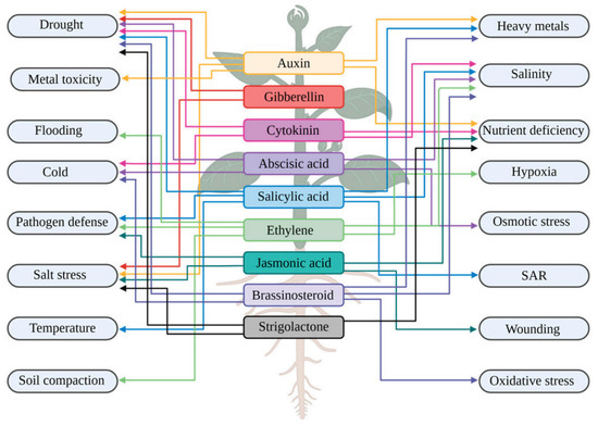 Integrated Drought Resilience in Foxtail Millet: From Molecular
