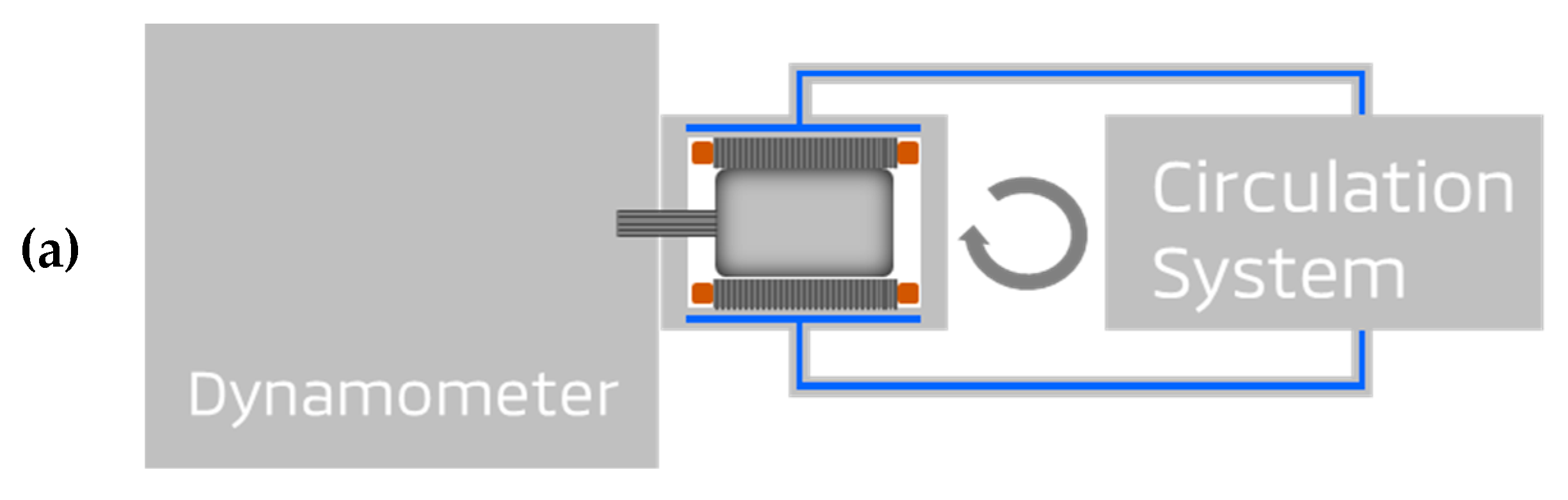Wevj 10 00038 g004a 550