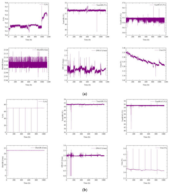 ソフト Amazon.com: ciciTree 5pcs 37mm Wheel Lug Nuts Bevel Seat