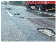 Wevj 16 00535 i004 Wevj 16 00535 i004