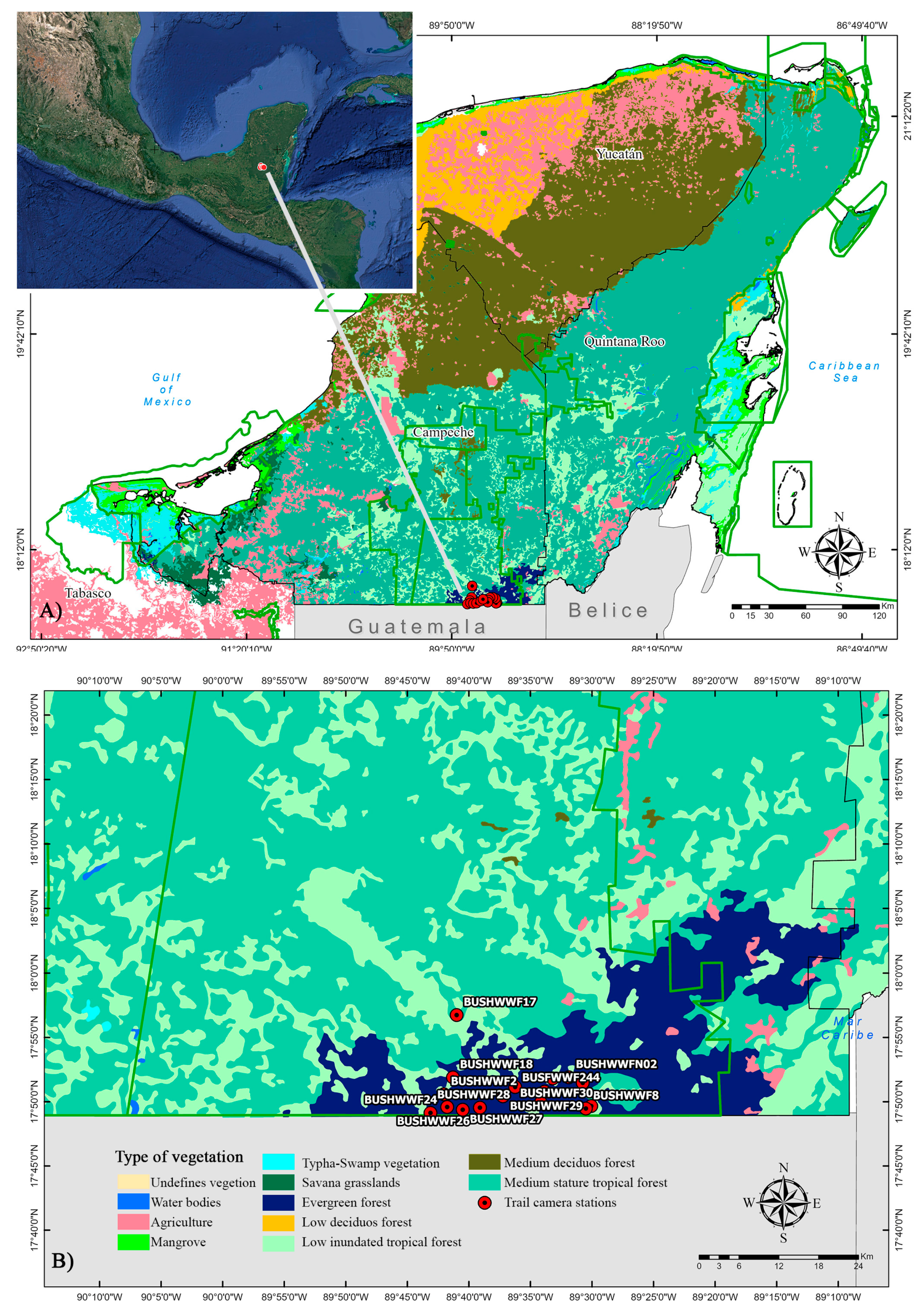 Wild 02 00003 g001 Wild 02 00003 g001