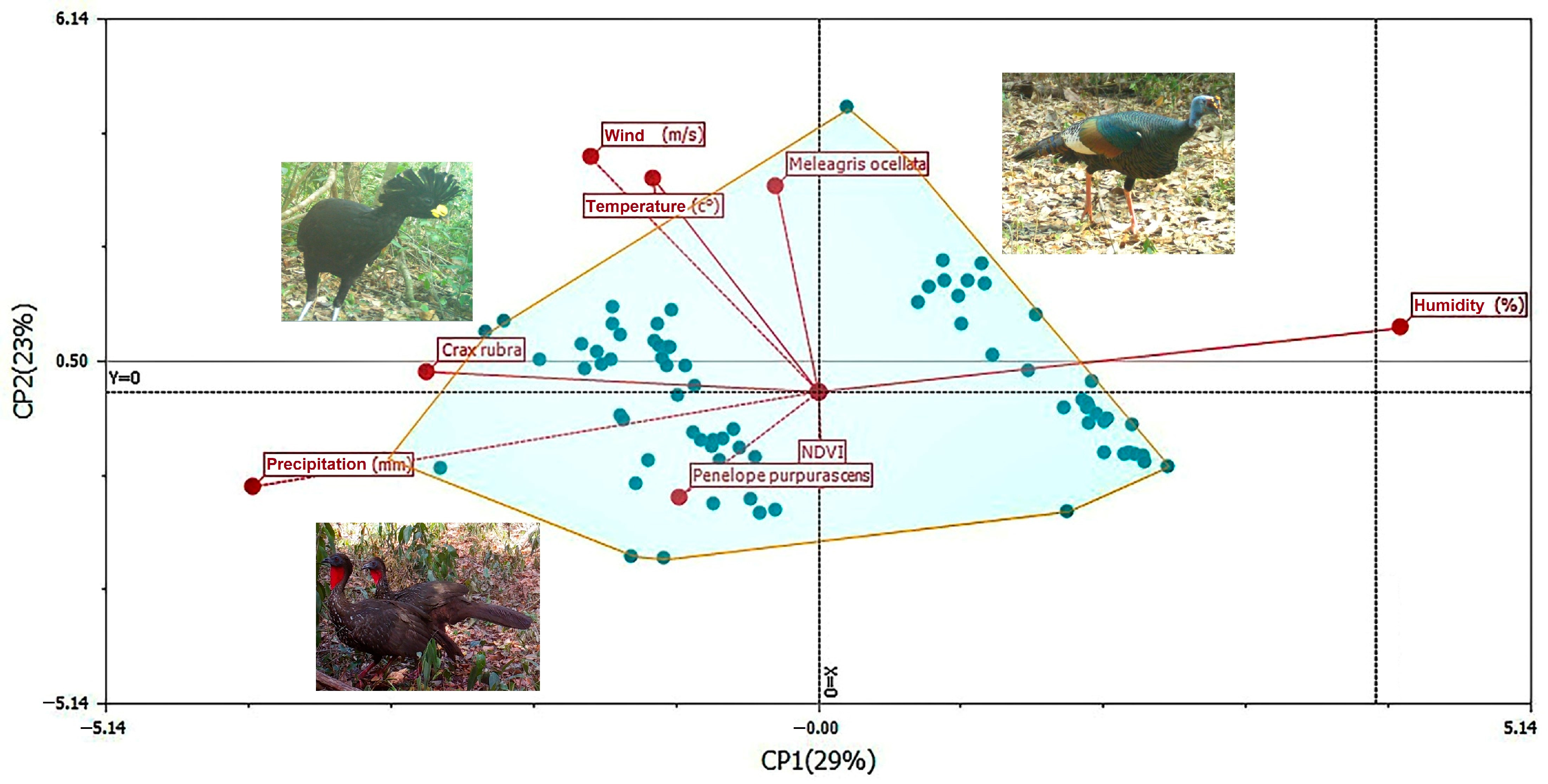 Wild 02 00003 g003 Wild 02 00003 g003