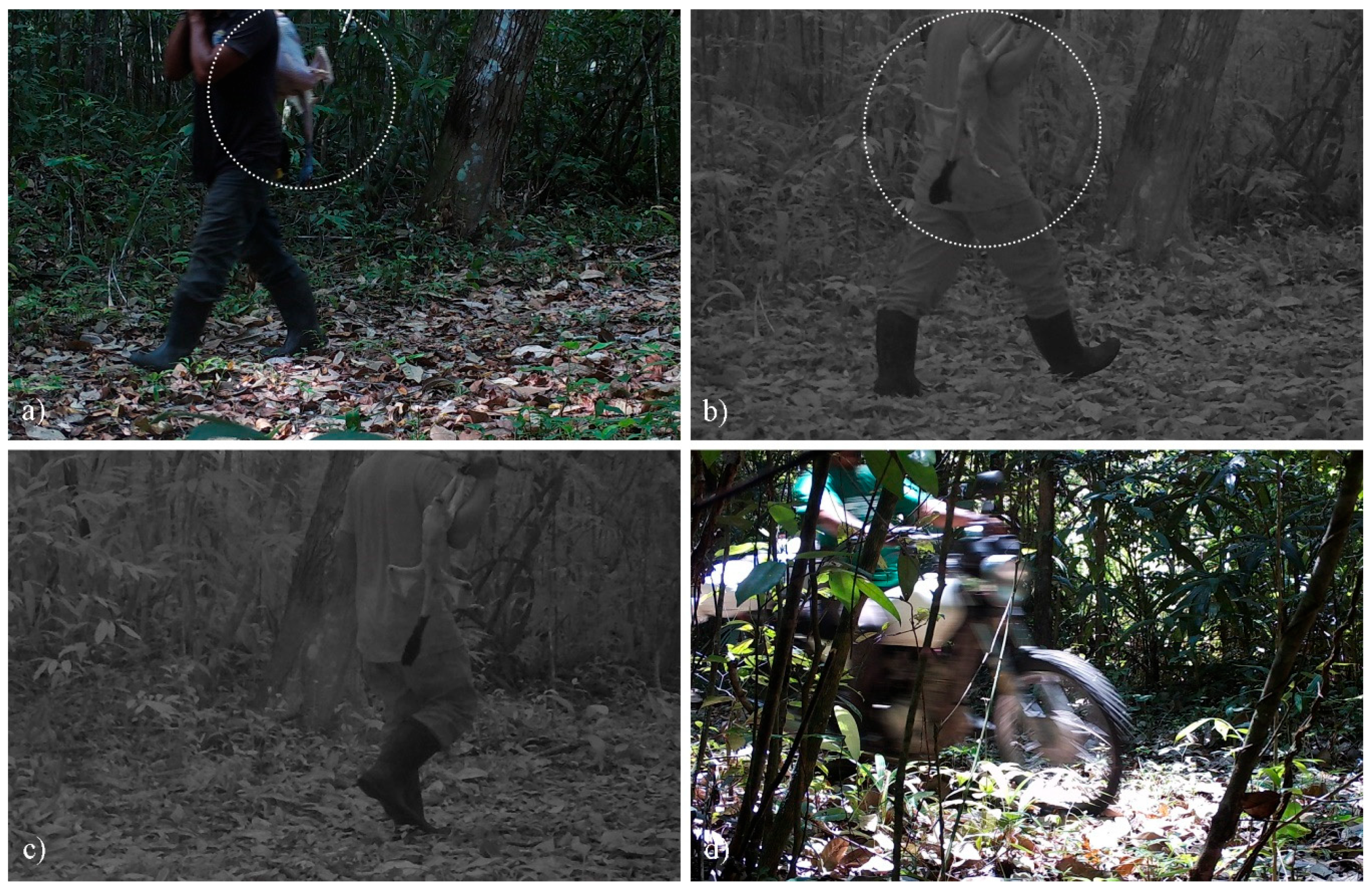 Wild 02 00003 g006 Wild 02 00003 g006