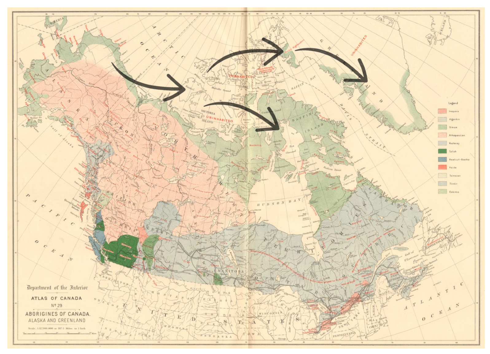 Wild 02 00030 g004 Wild 02 00030 g004