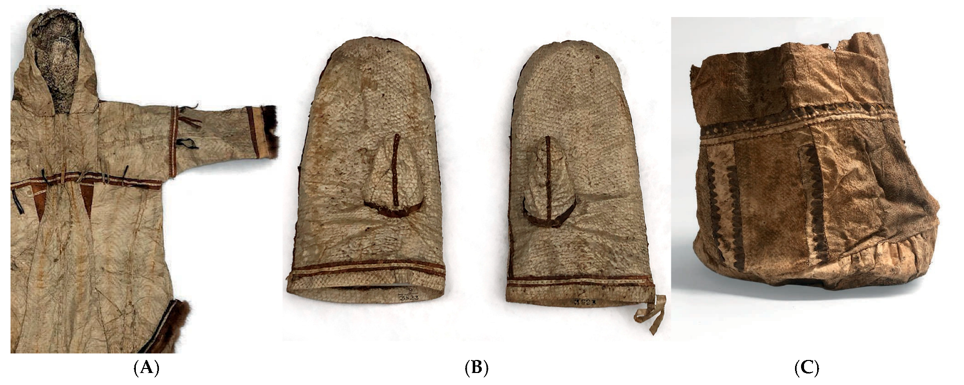 Wild 02 00030 g005 Wild 02 00030 g005