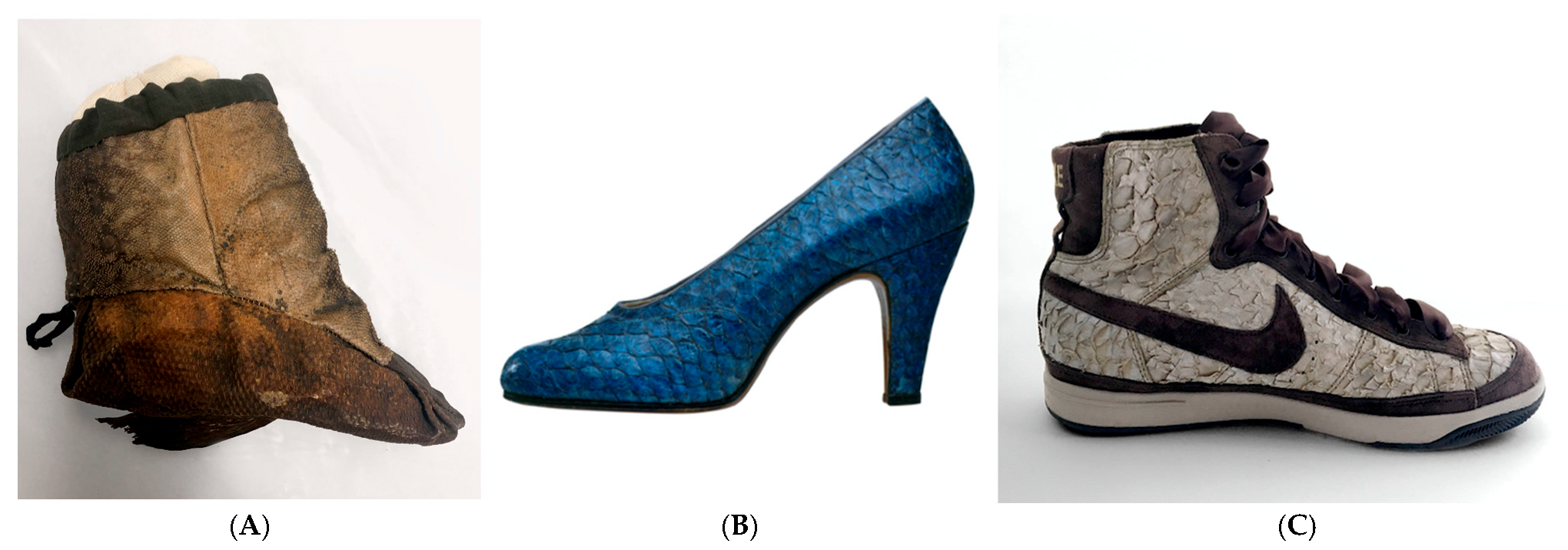 Wild 02 00030 g006 Wild 02 00030 g006