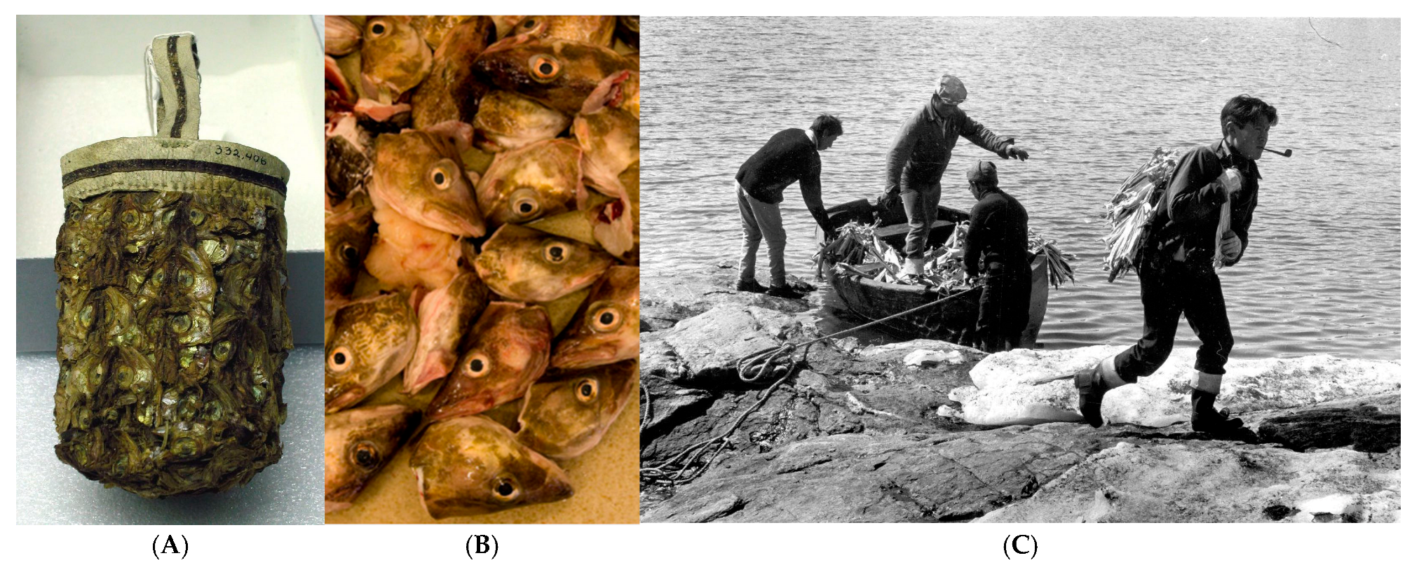 Wild 02 00030 g007 Wild 02 00030 g007