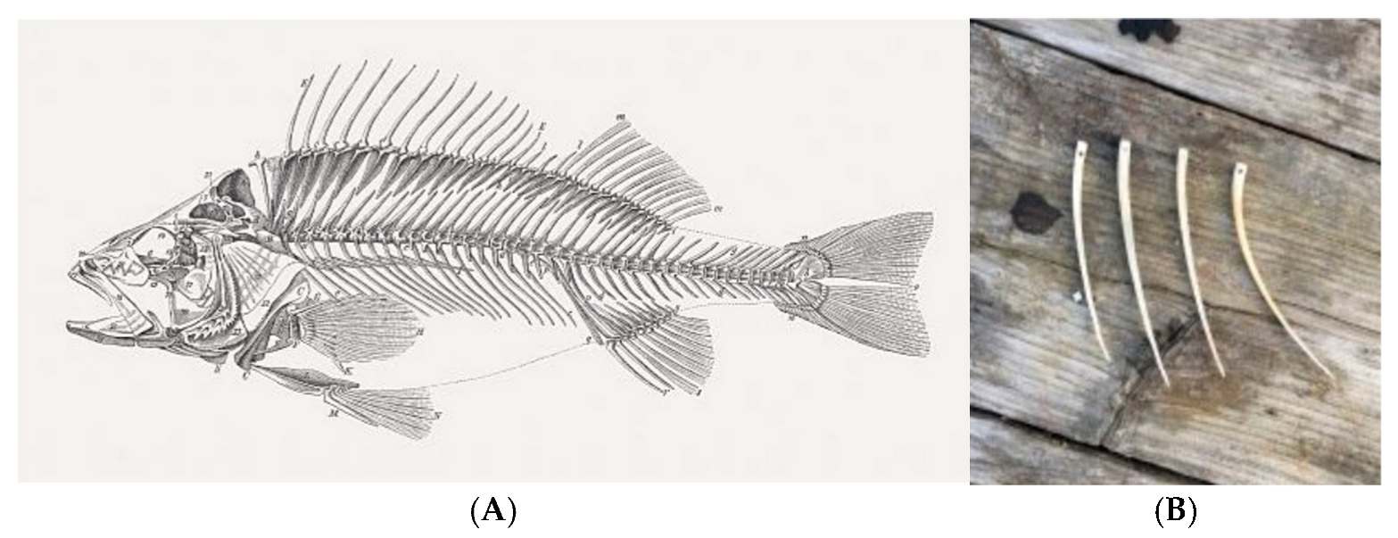 Wild 02 00030 g010 Wild 02 00030 g010