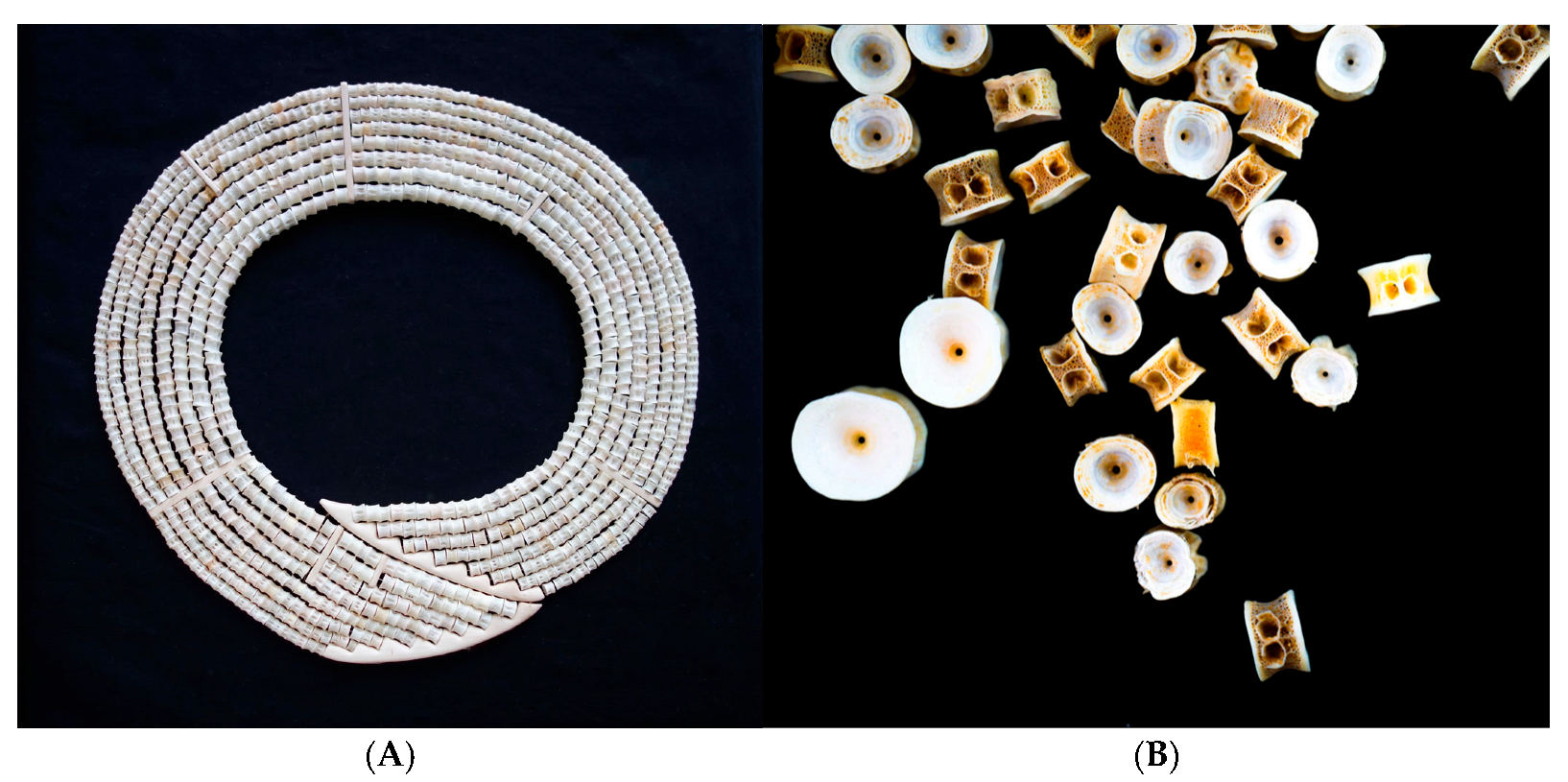 Wild 02 00030 g011 Wild 02 00030 g011