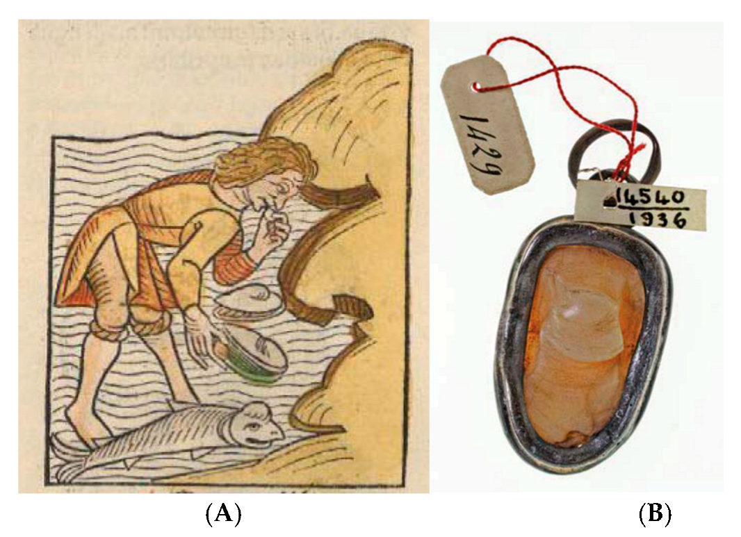 Wild 02 00030 g014 Wild 02 00030 g014