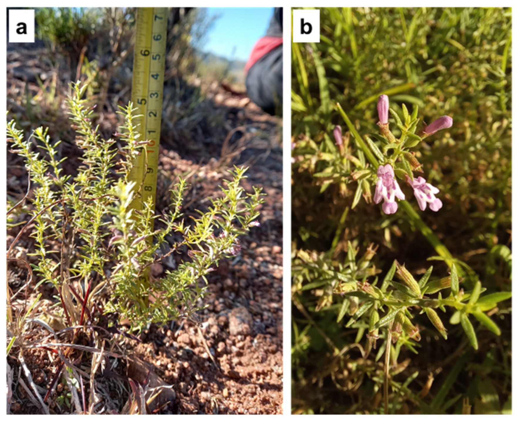 Wild 02 00033 g003 Wild 02 00033 g003