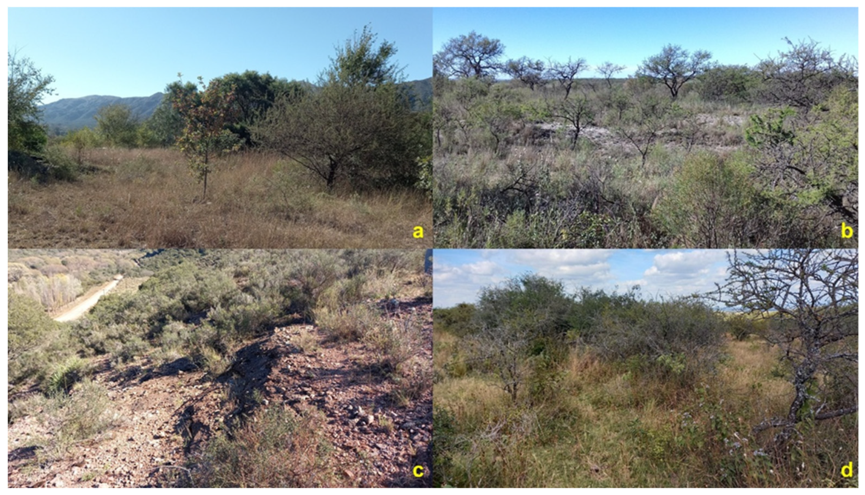 Wild 02 00033 g007 Wild 02 00033 g007