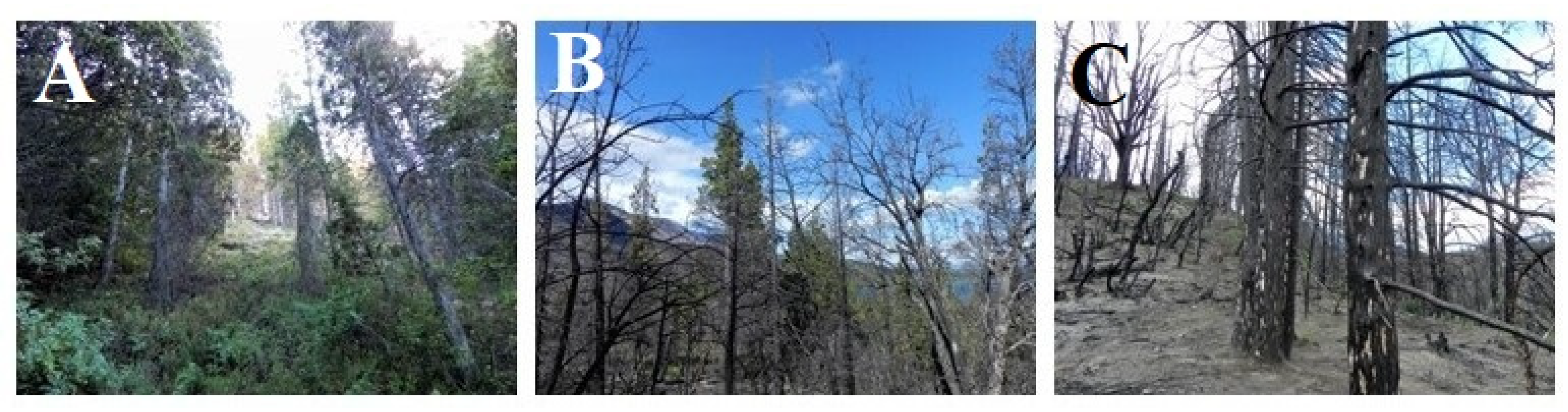 Wild 02 00036 g002 Wild 02 00036 g002