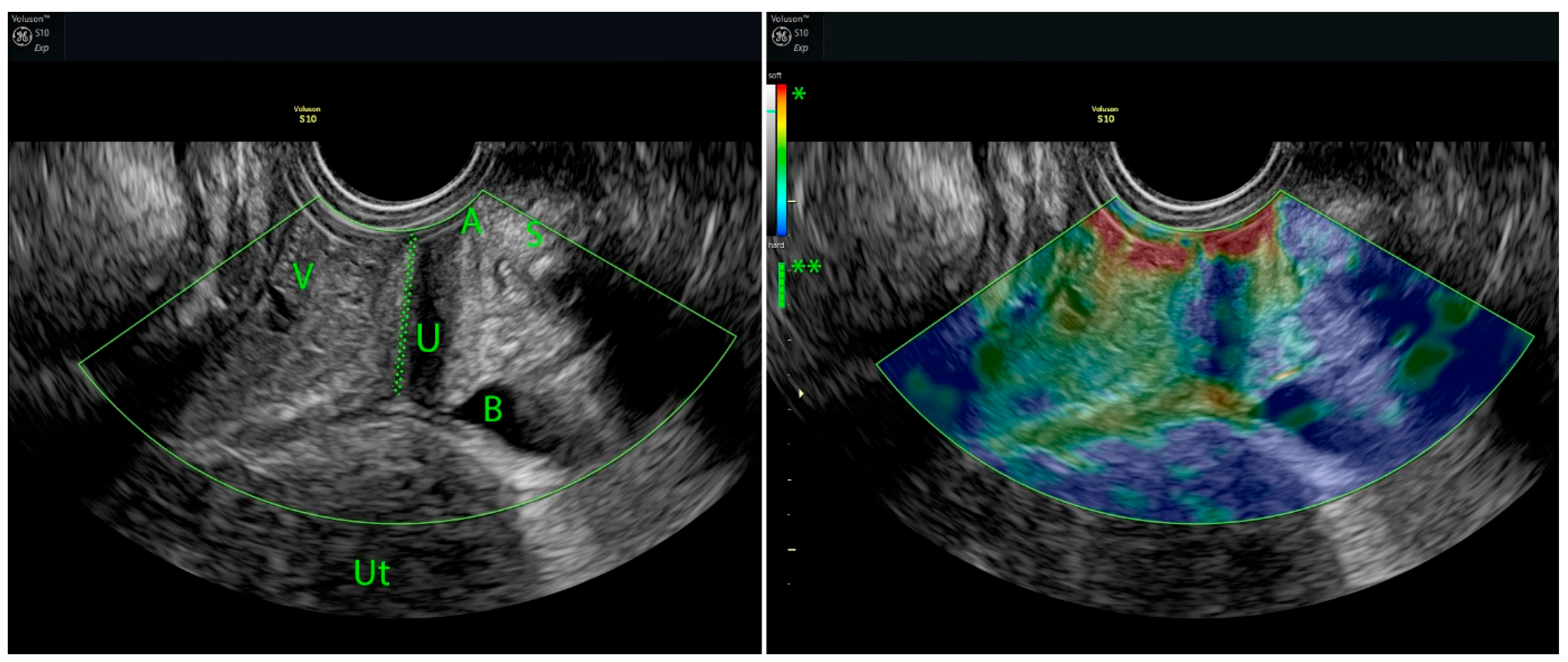 Women 05 00048 g003 Women 05 00048 g003