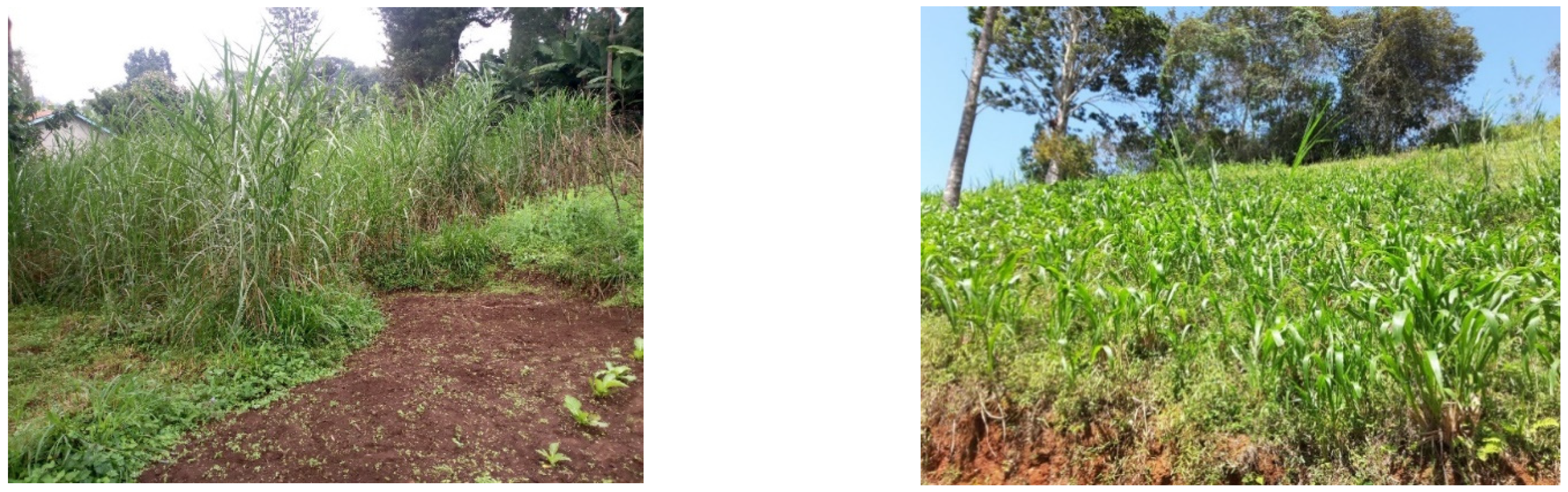 World 03 00059 g005 World 03 00059 g005