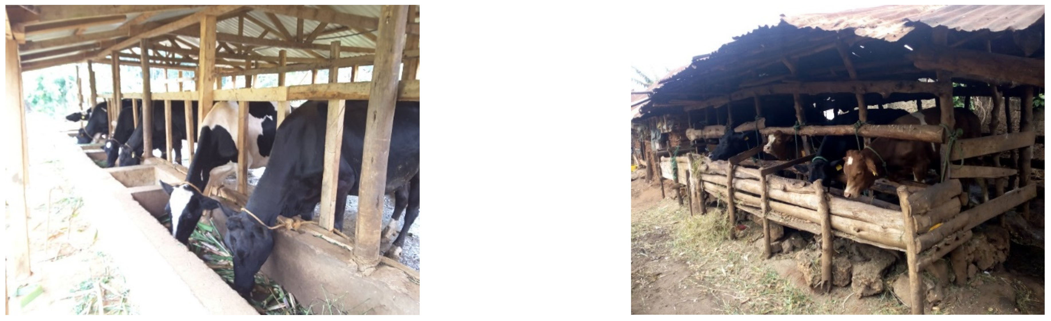 World 03 00059 g007 World 03 00059 g007