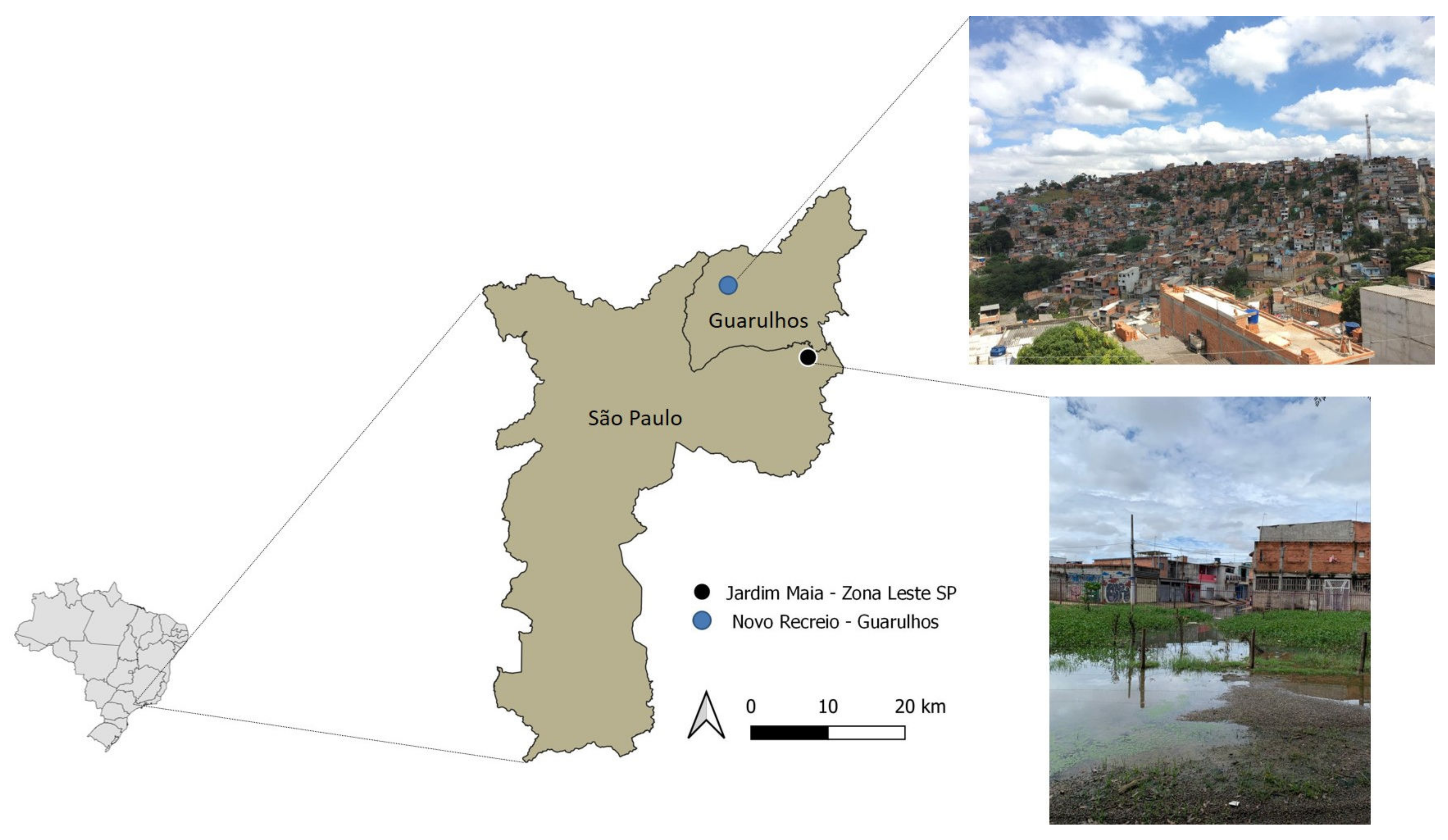 World 04 00002 g002 World 04 00002 g002