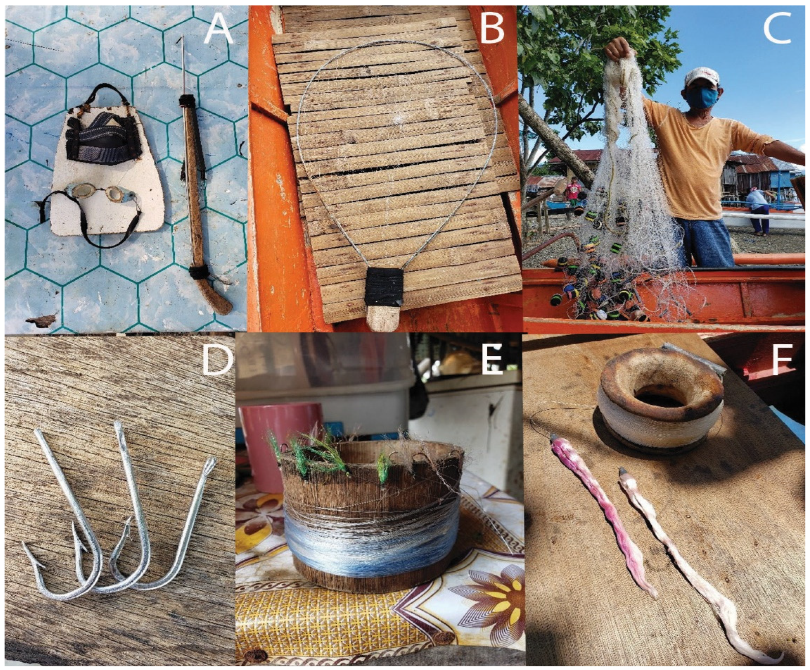 World 04 00004 g002 World 04 00004 g002