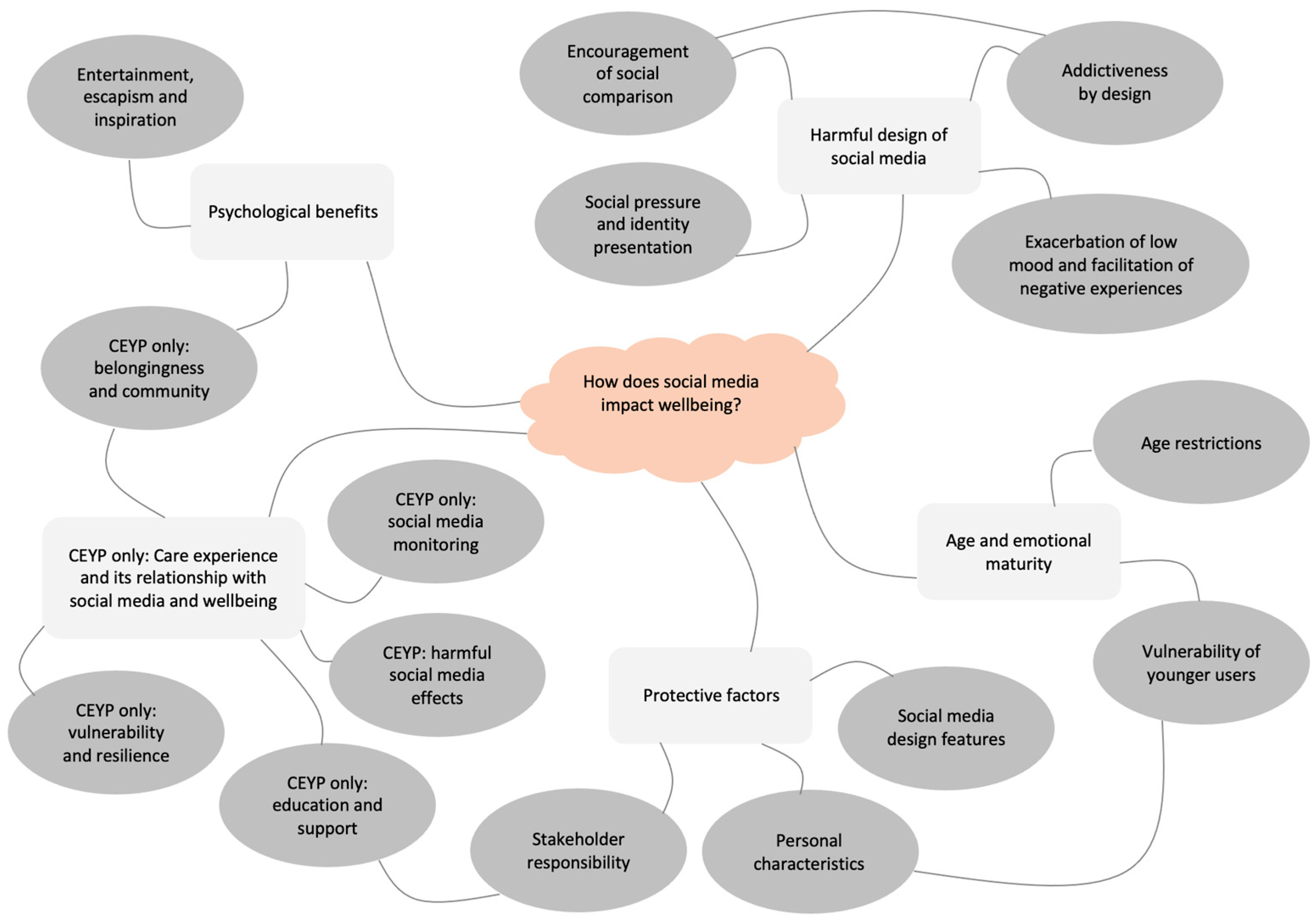 Experiences / Social Links