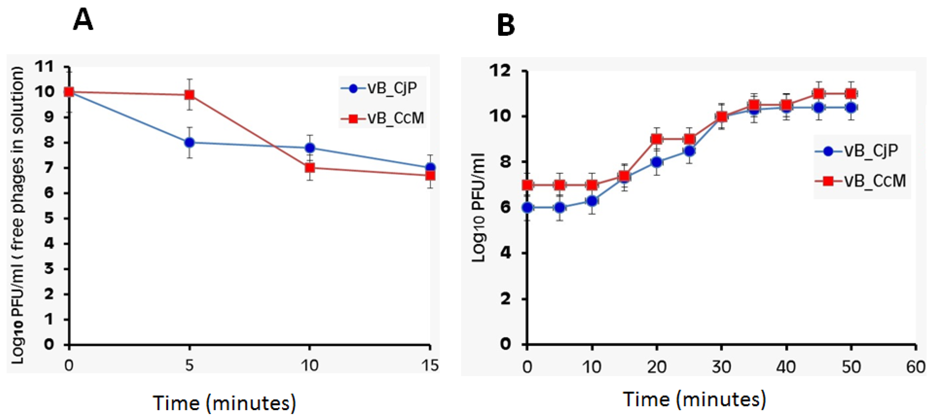 Zoonoticdis 02 00007 g003