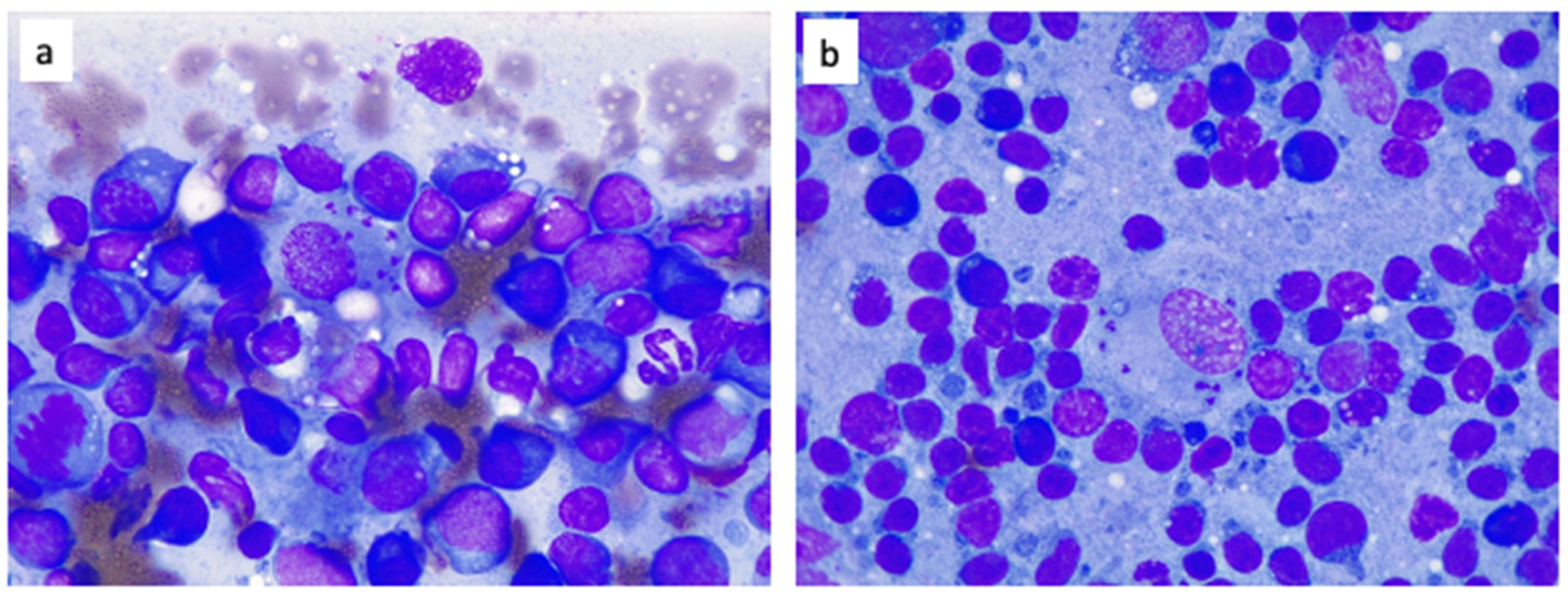 Zoonoticdis 02 00010 g004 Zoonoticdis 02 00010 g004