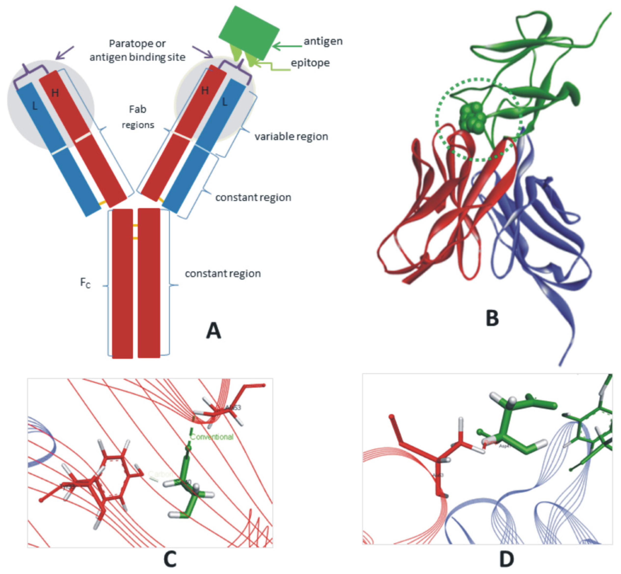 Zoonoticdis 02 00012 g001