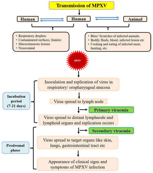 Flu, hepatitis, monkeypox: Diseases suppressed during Covid are back