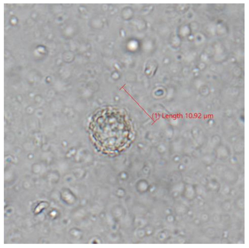 Zoonoticdis 03 00002 g002 Zoonoticdis 03 00002 g002