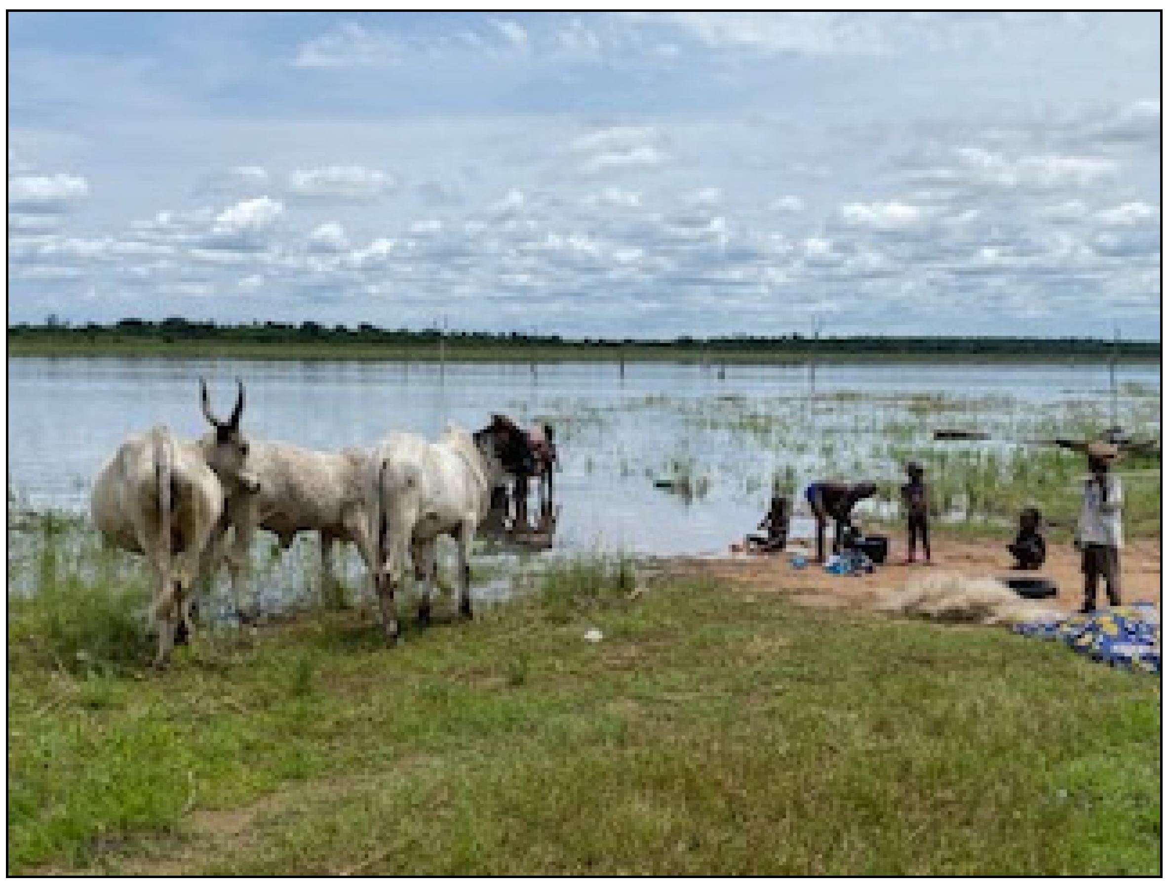 Zoonoticdis 03 00006 g004 Zoonoticdis 03 00006 g004
