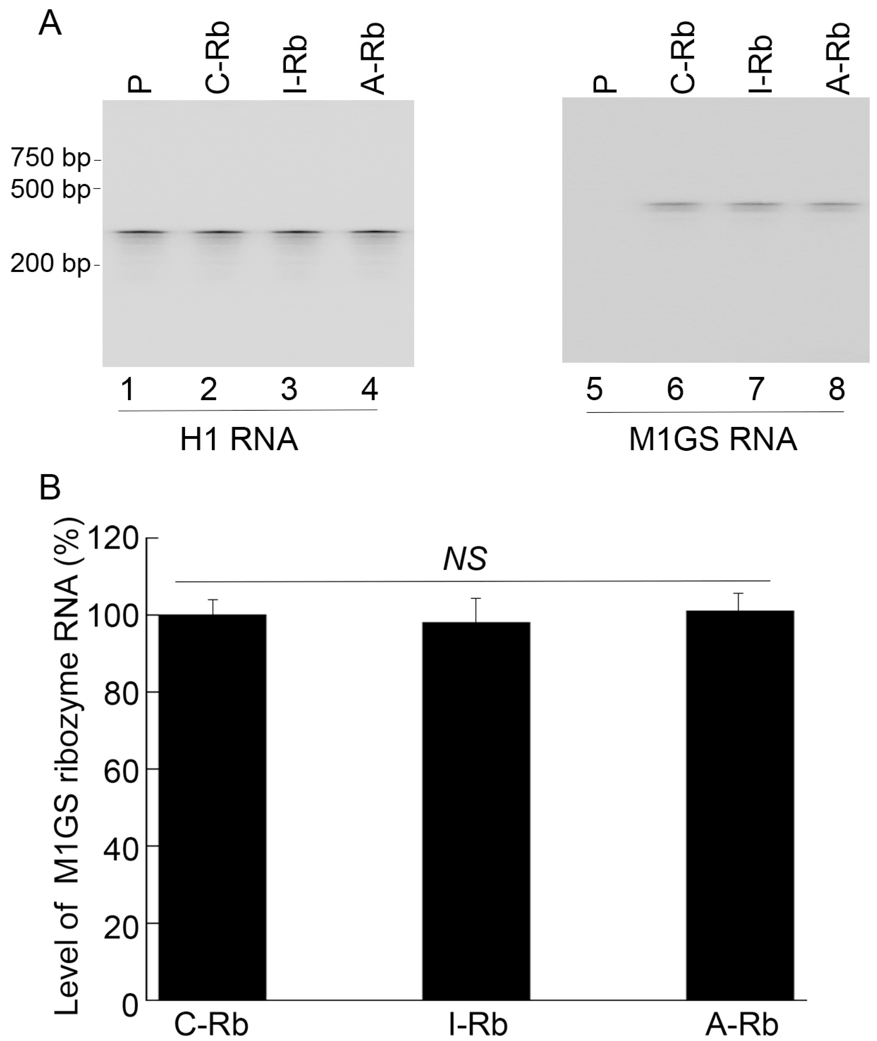Zoonoticdis 03 00009 g001 Zoonoticdis 03 00009 g001