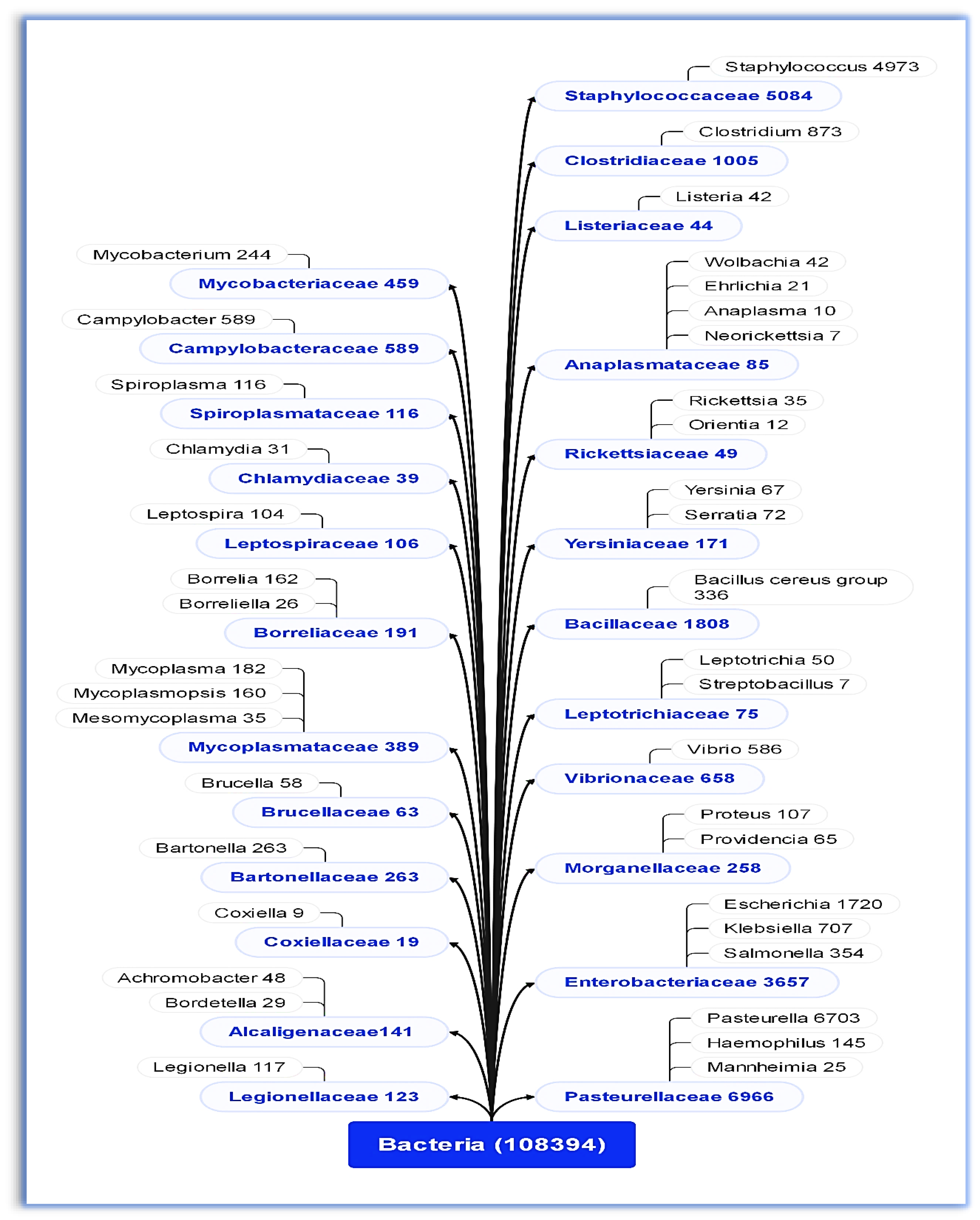 Zoonoticdis 03 00019 g002 Zoonoticdis 03 00019 g002