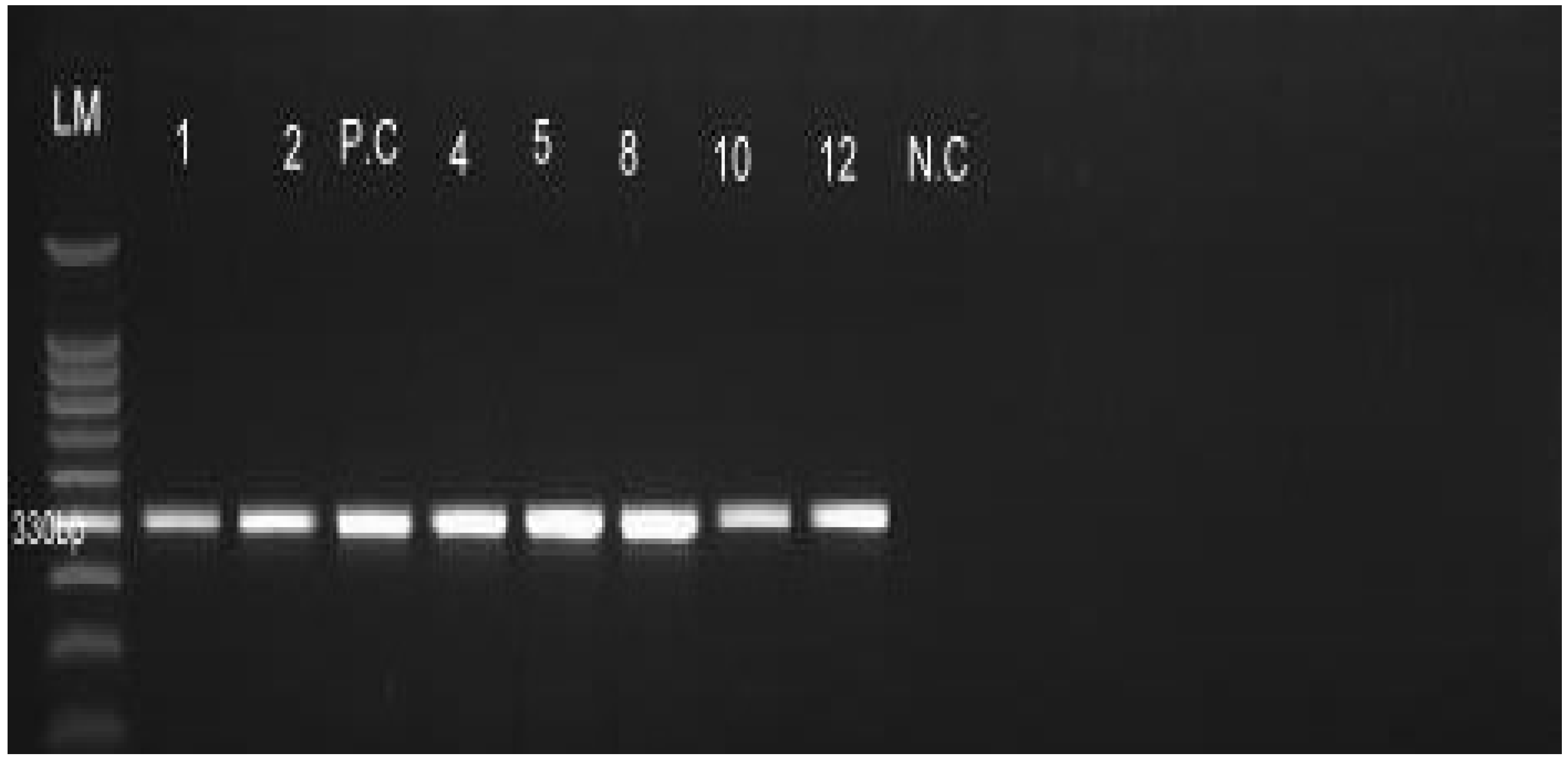 Zoonoticdis 04 00005 g002 Zoonoticdis 04 00005 g002