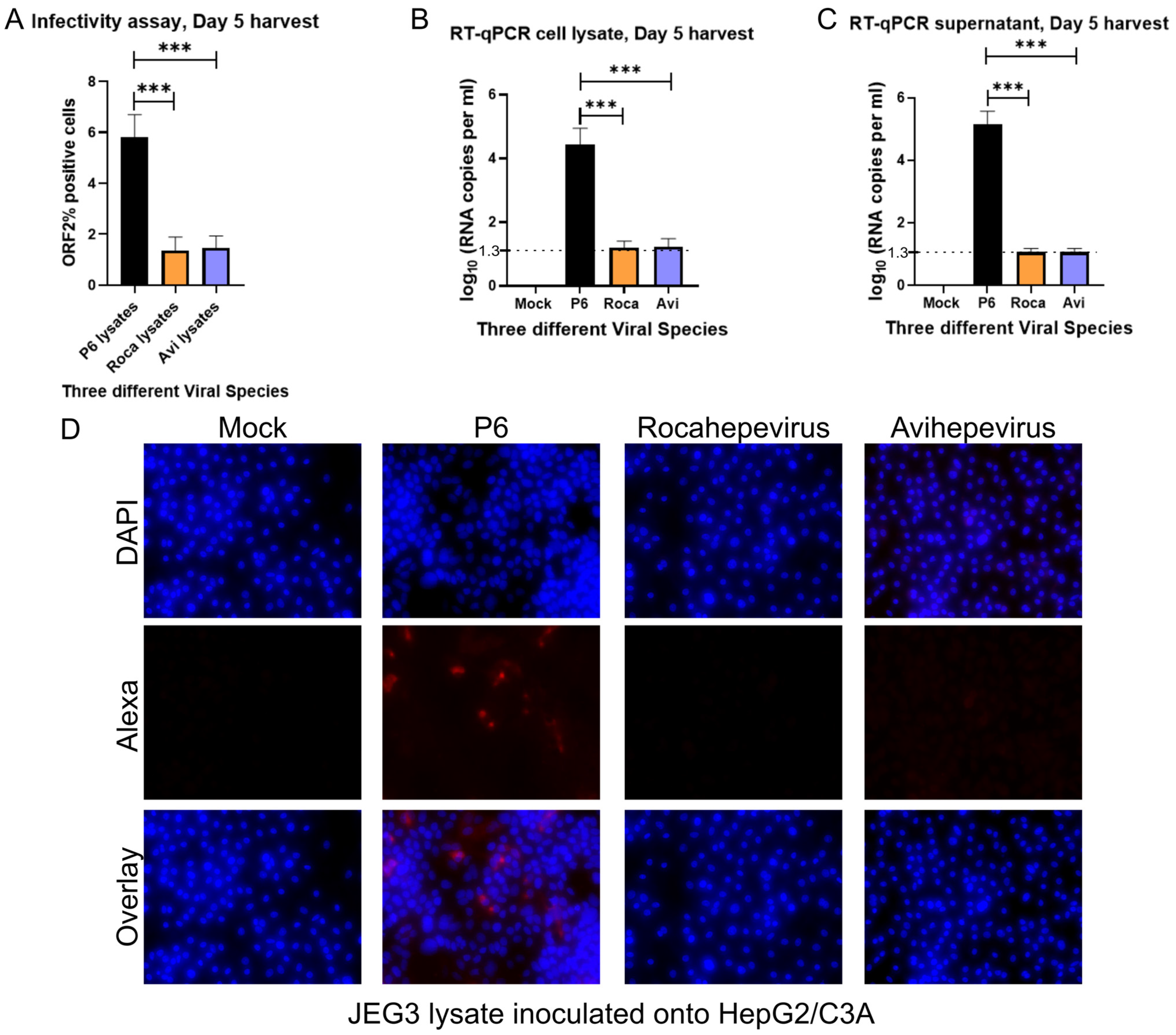 Zoonoticdis 04 00012 g002